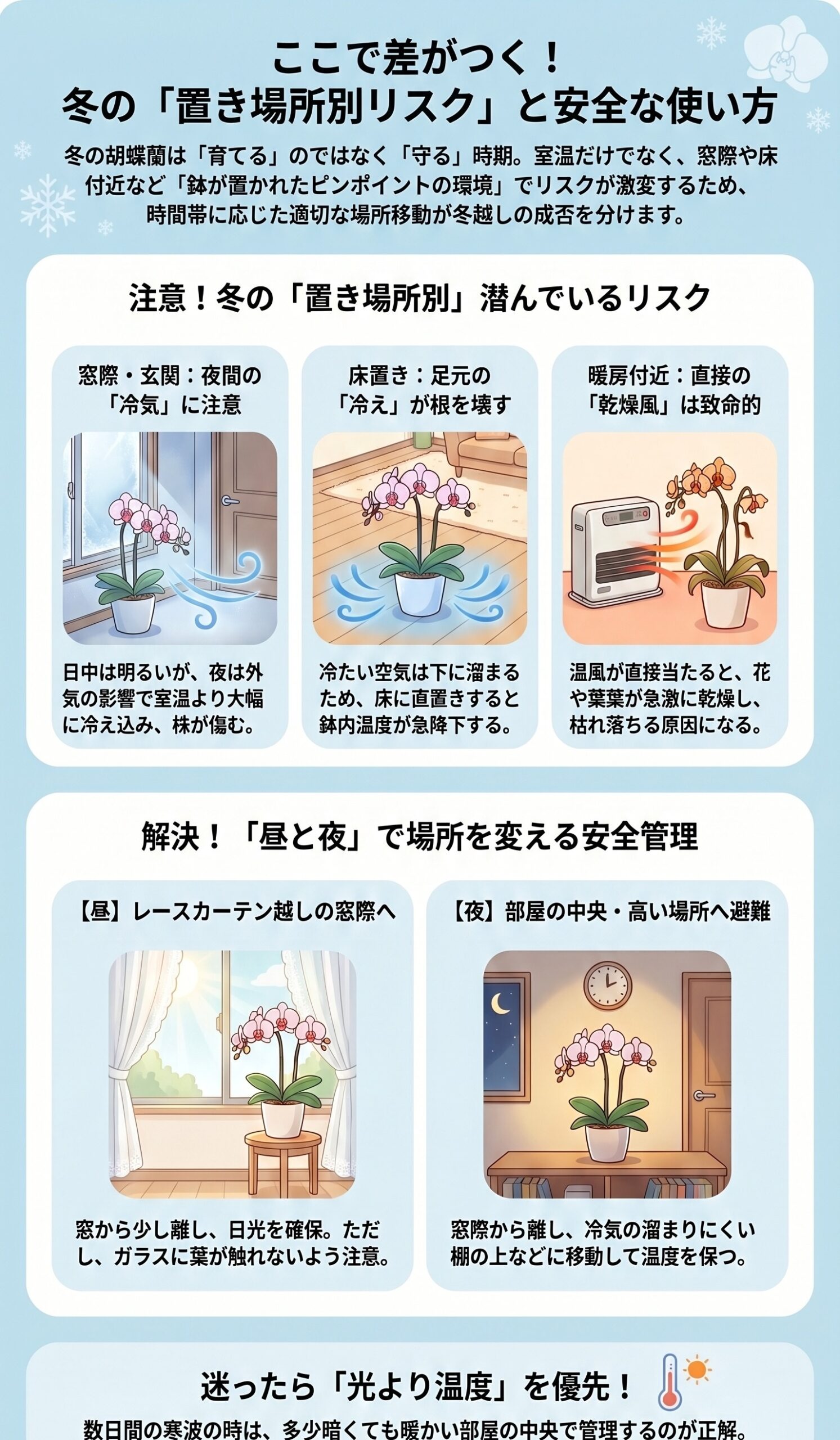 胡蝶蘭の冬の置き場所別リスクと安全な使い方をまとめたインフォグラフィック