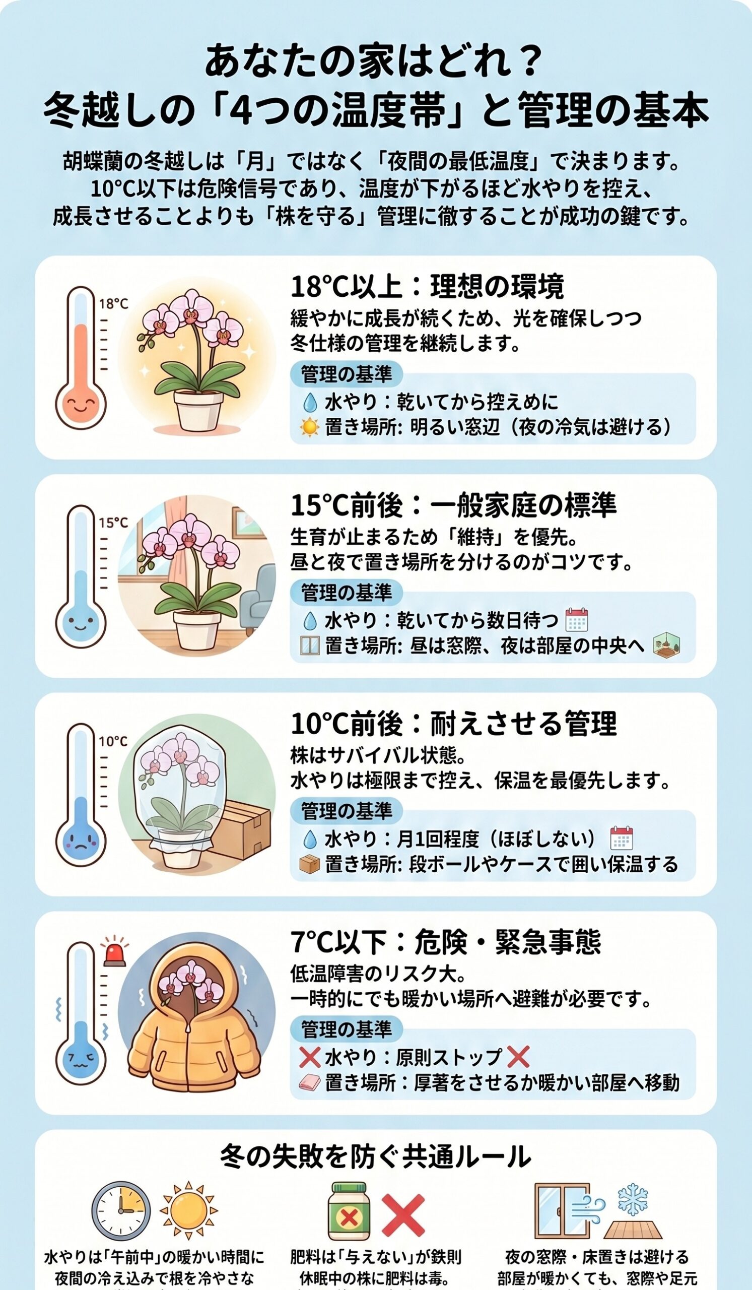 胡蝶蘭の冬越しを4つの温度帯ごとに管理する基本を示すインフォグラフィック