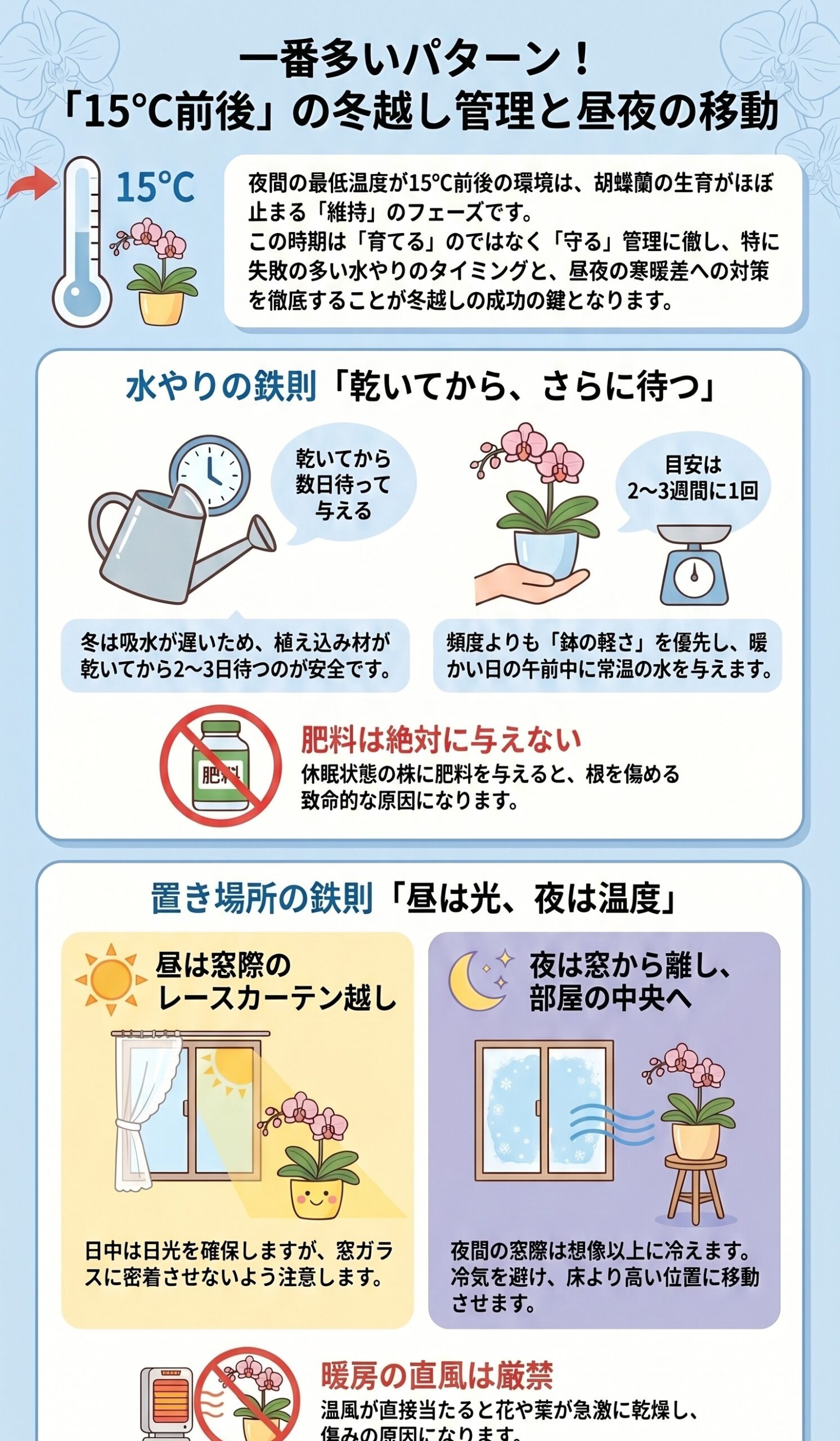 胡蝶蘭を15度前後で冬越しする場合の管理と昼夜の移動を説明するインフォグラフィック