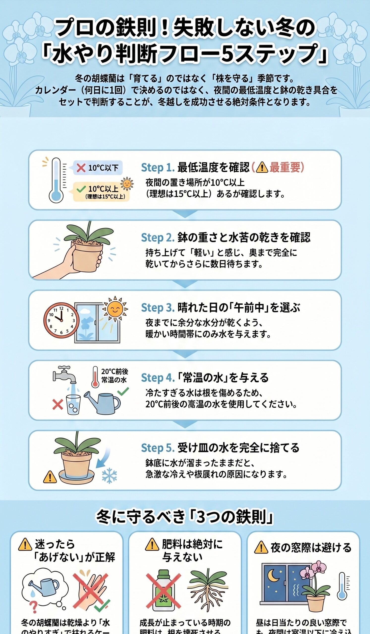 胡蝶蘭の冬の水やりを温度・鉢の重さ・時間帯で判断する5ステップのインフォグラフィック