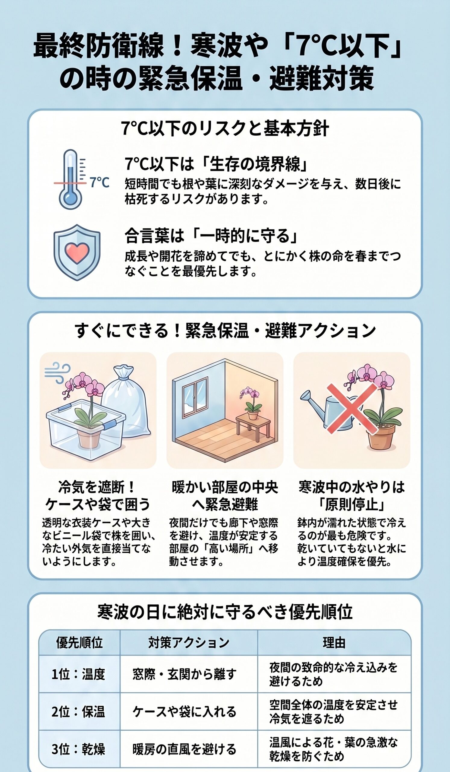 胡蝶蘭が寒波や7度以下になる時の緊急保温と避難対策をまとめたインフォグラフィック