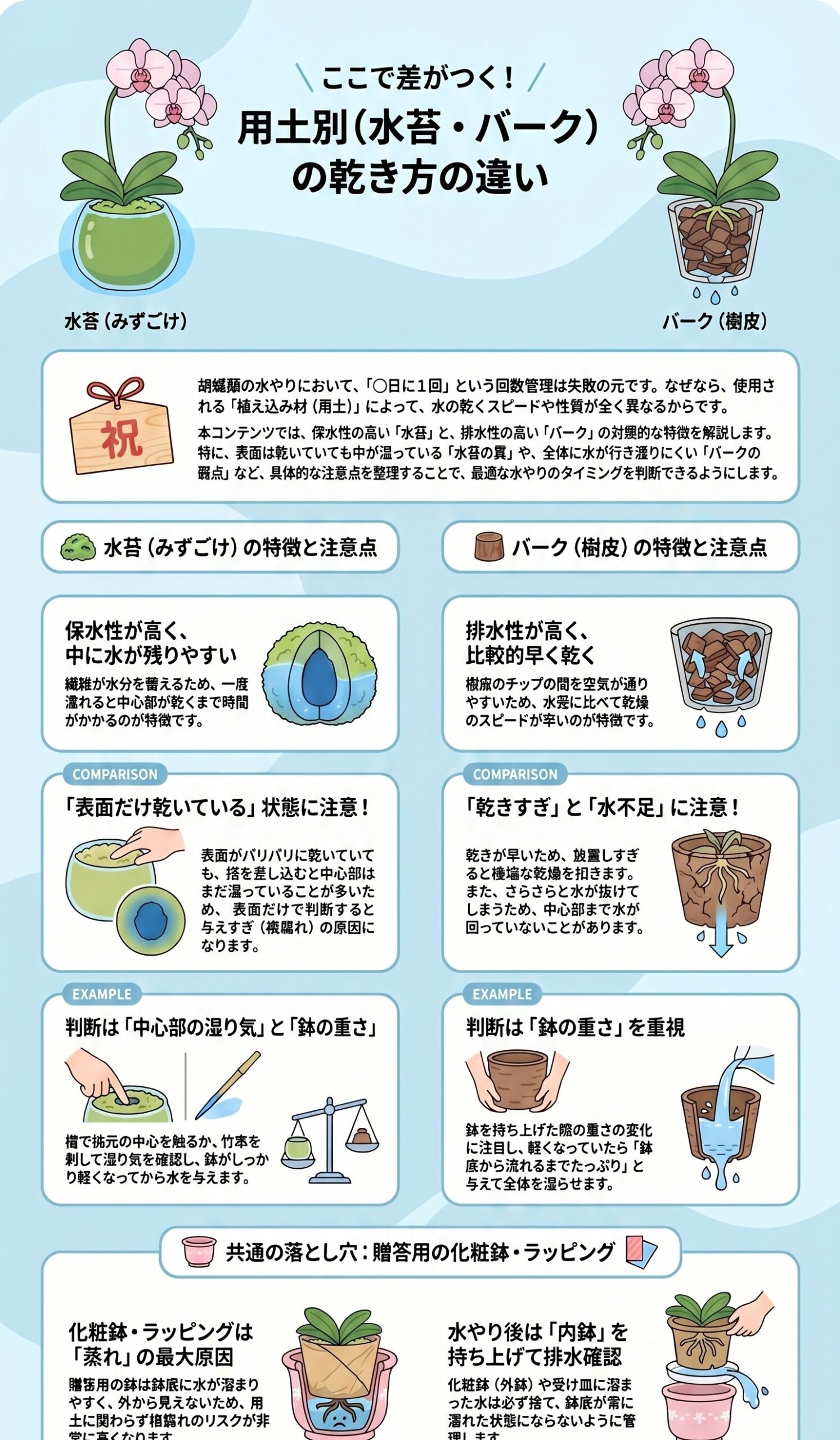 胡蝶蘭の用土別に水苔とバークの乾き方の違いを比較するインフォグラフィック