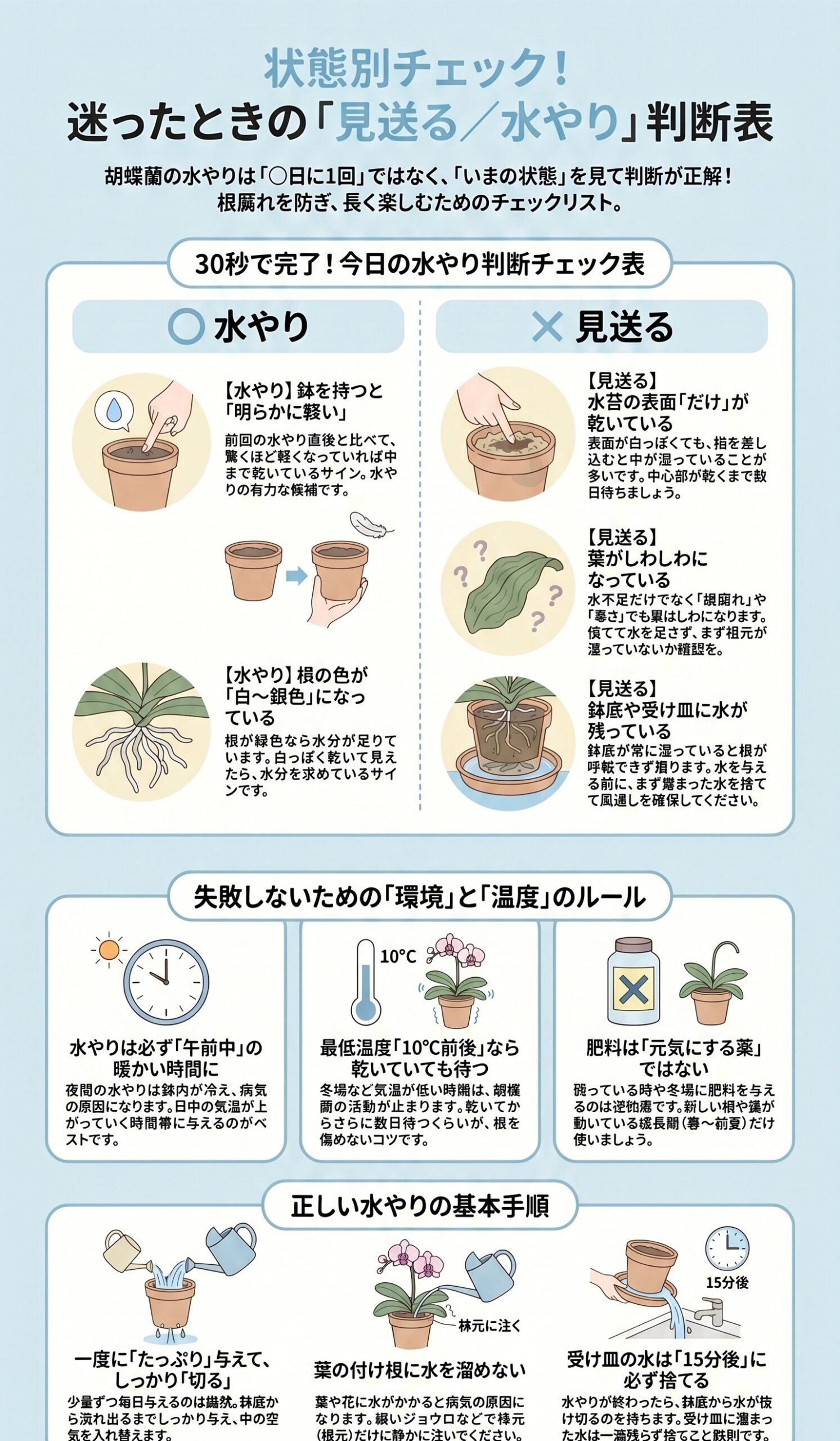胡蝶蘭の状態別に水やりするか見送るかを判断するチェック表インフォグラフィック