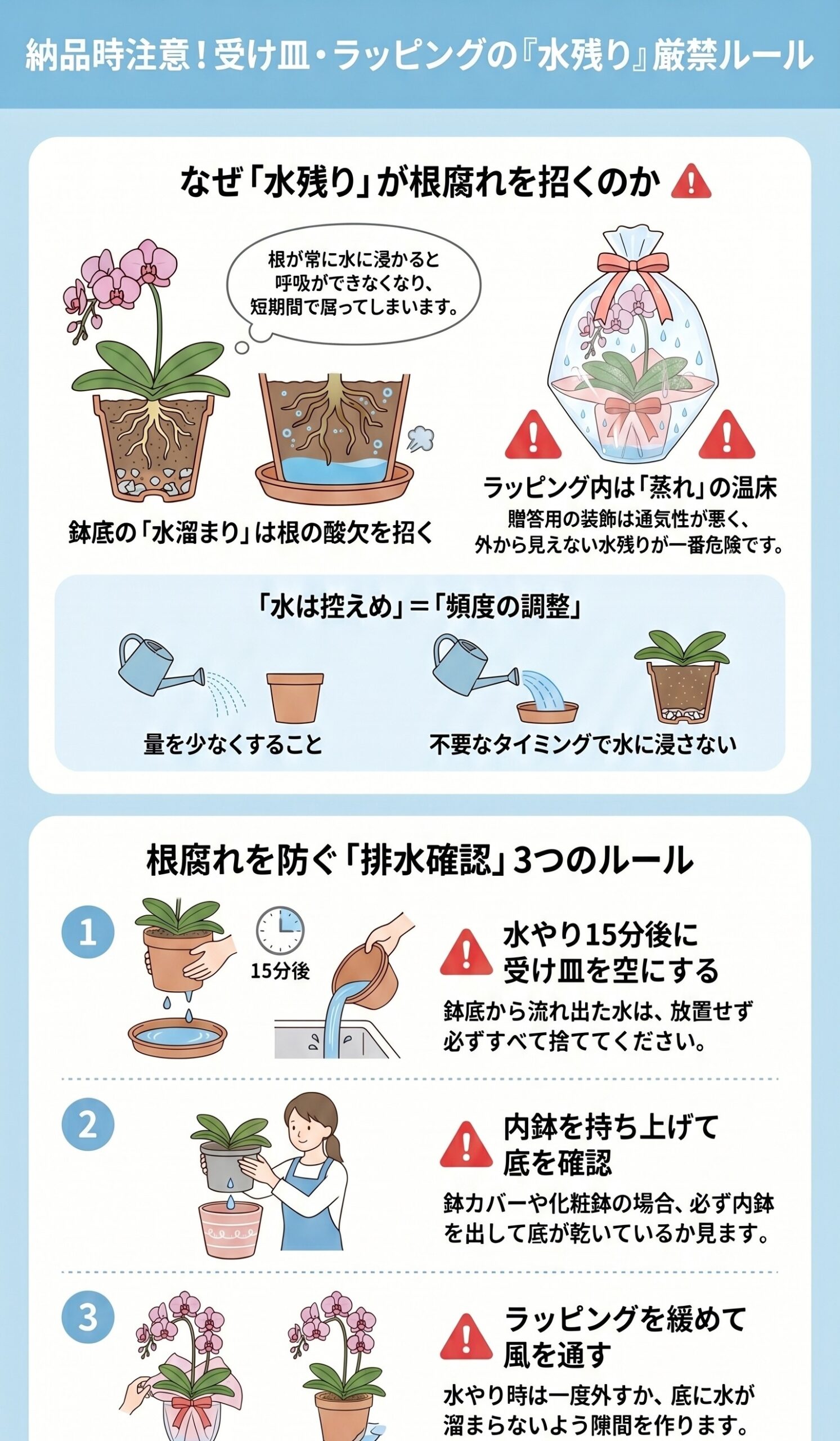 胡蝶蘭の受け皿やラッピングに水を残さない排水確認ルールのインフォグラフィック