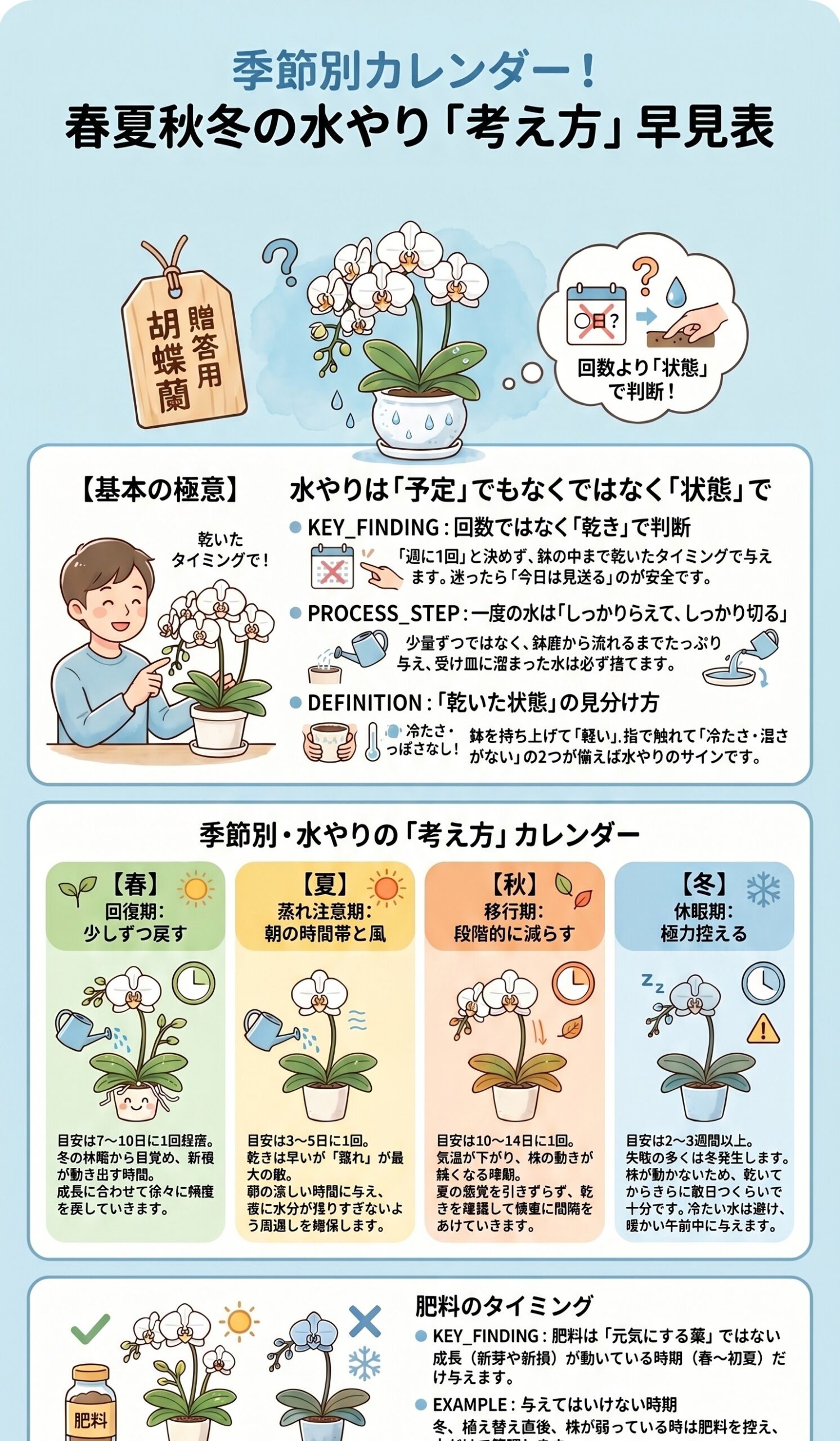 胡蝶蘭の春夏秋冬の水やりの考え方を季節別にまとめた早見表インフォグラフィック