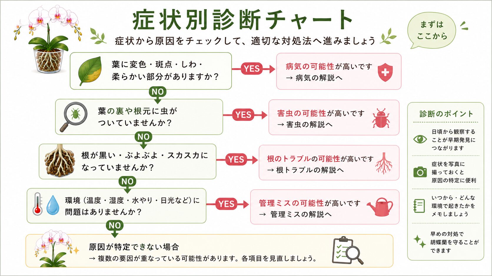 胡蝶蘭トラブル診断フローチャート