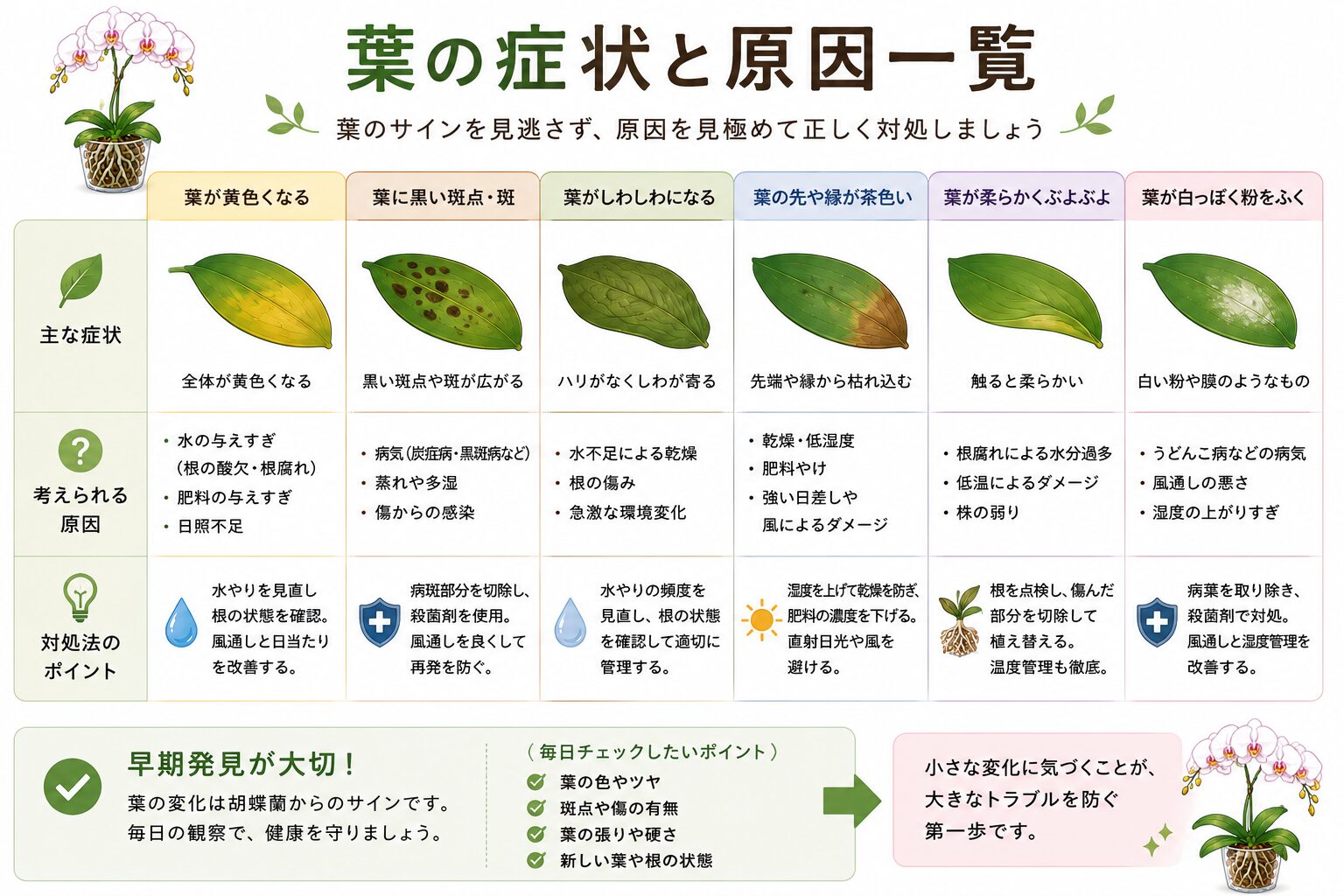 葉の異常原因比較図