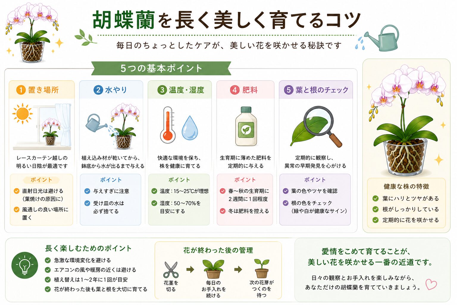 胡蝶蘭を健康に育てる基本図