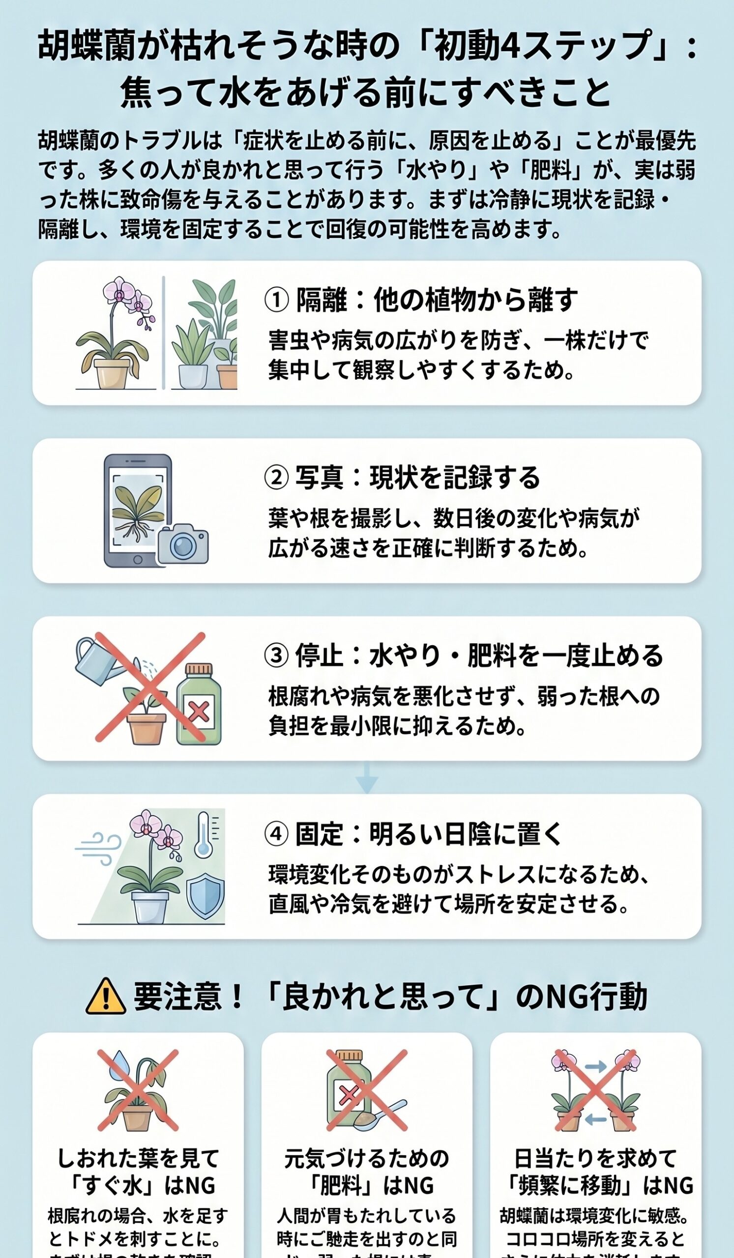 胡蝶蘭が枯れそうな時の隔離や写真記録など初動4ステップを示すインフォグラフィック