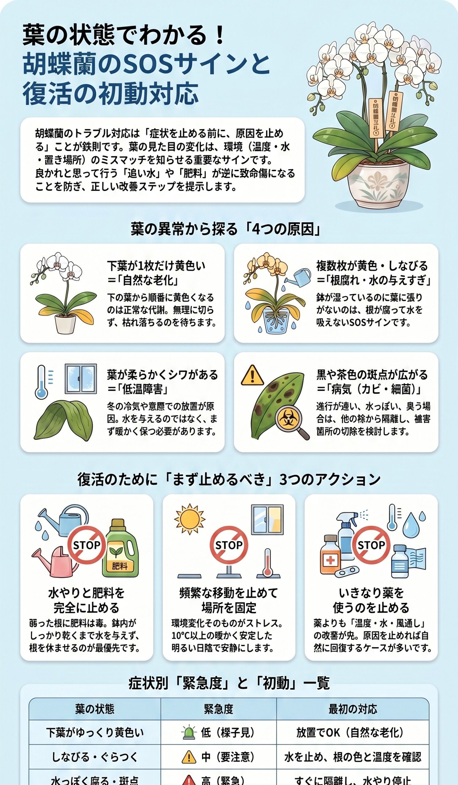 胡蝶蘭の葉の異常から原因と対応を判断するインフォグラフィック
