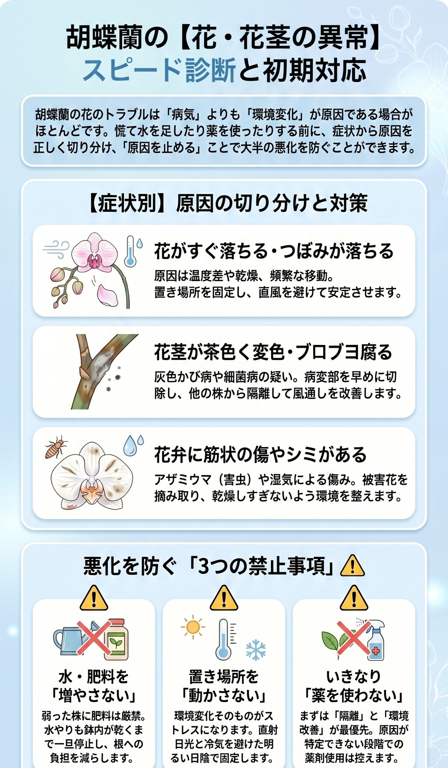 胡蝶蘭の花や花茎の異常から原因とコナカイガラムシのハダニの炭そ病の初期対応を確認するインフォグラフィック
