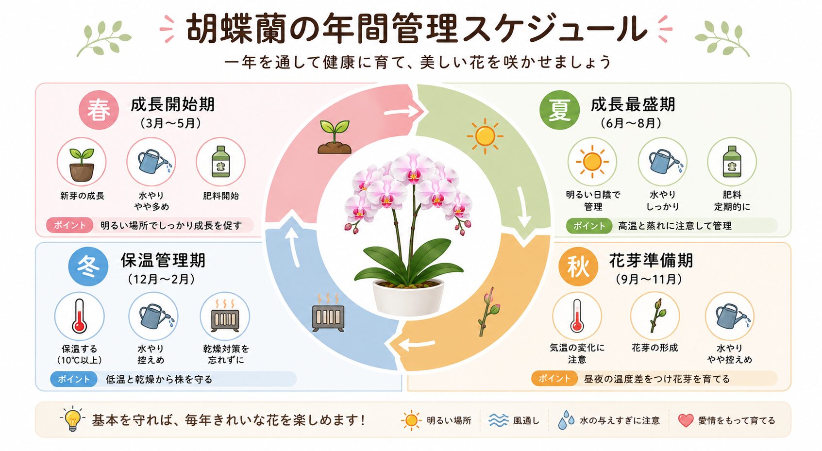 胡蝶蘭の年間管理を一覧化した図解
