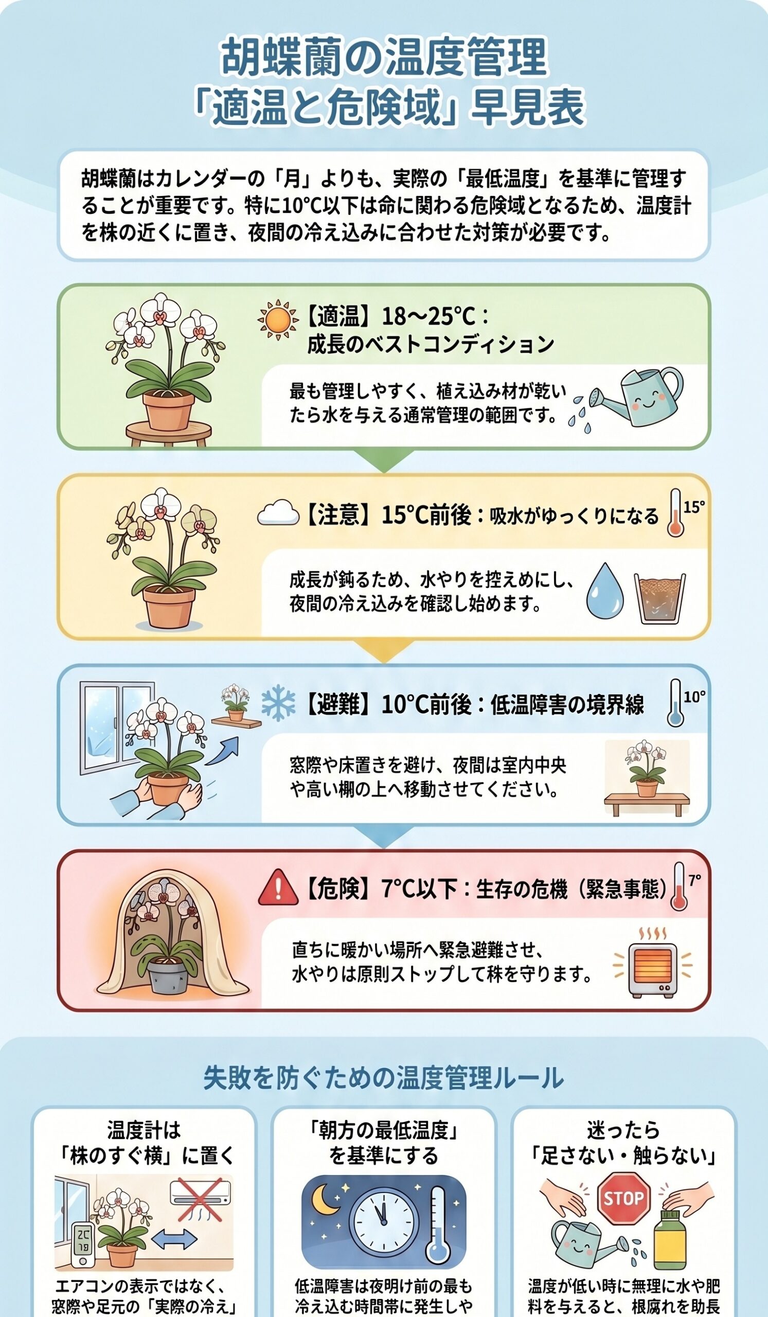 胡蝶蘭の温度管理で適温と危険域を判断する早見表インフォグラフィック