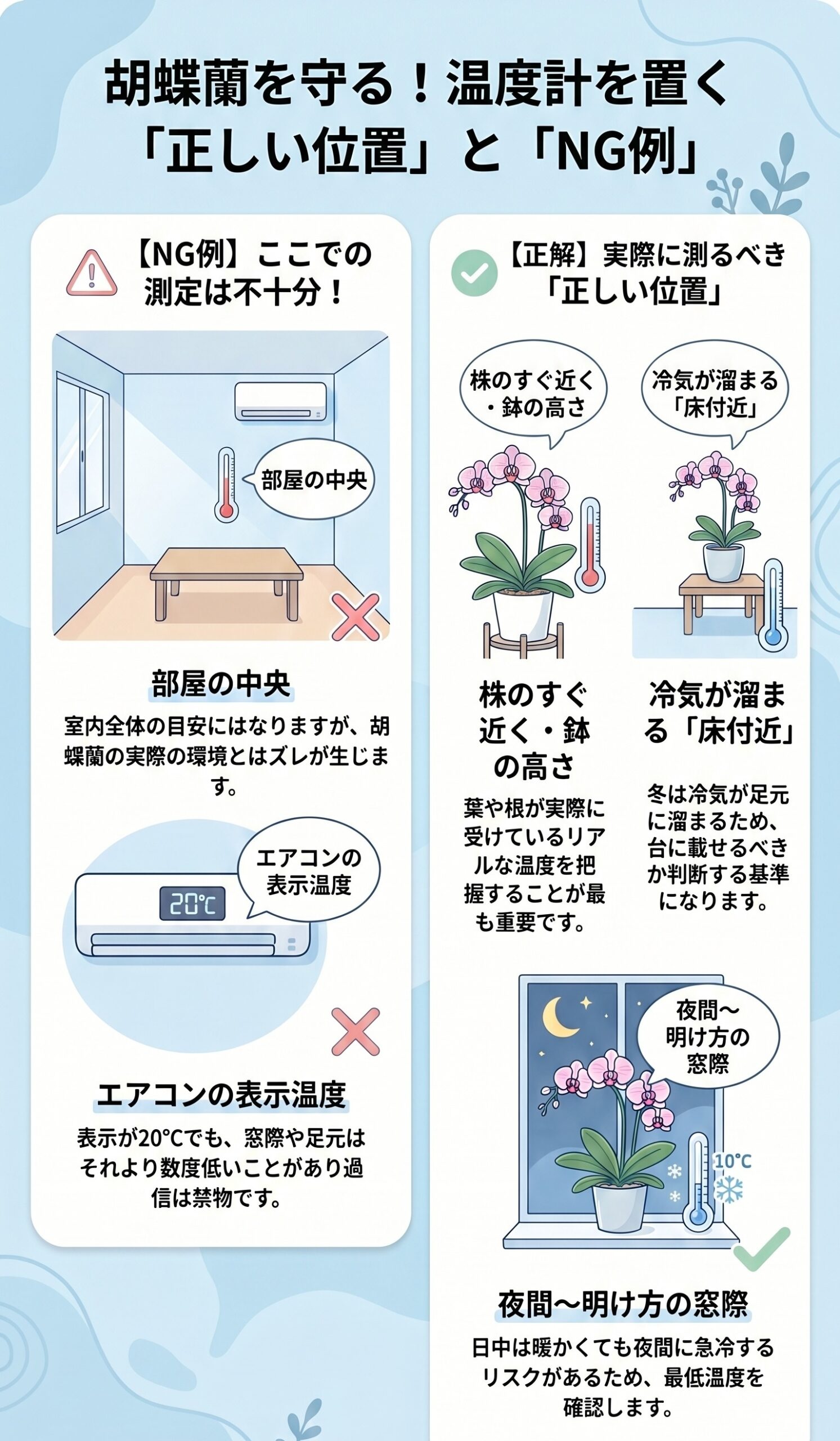胡蝶蘭の温度計を置く正しい位置とNG例を説明するインフォグラフィック