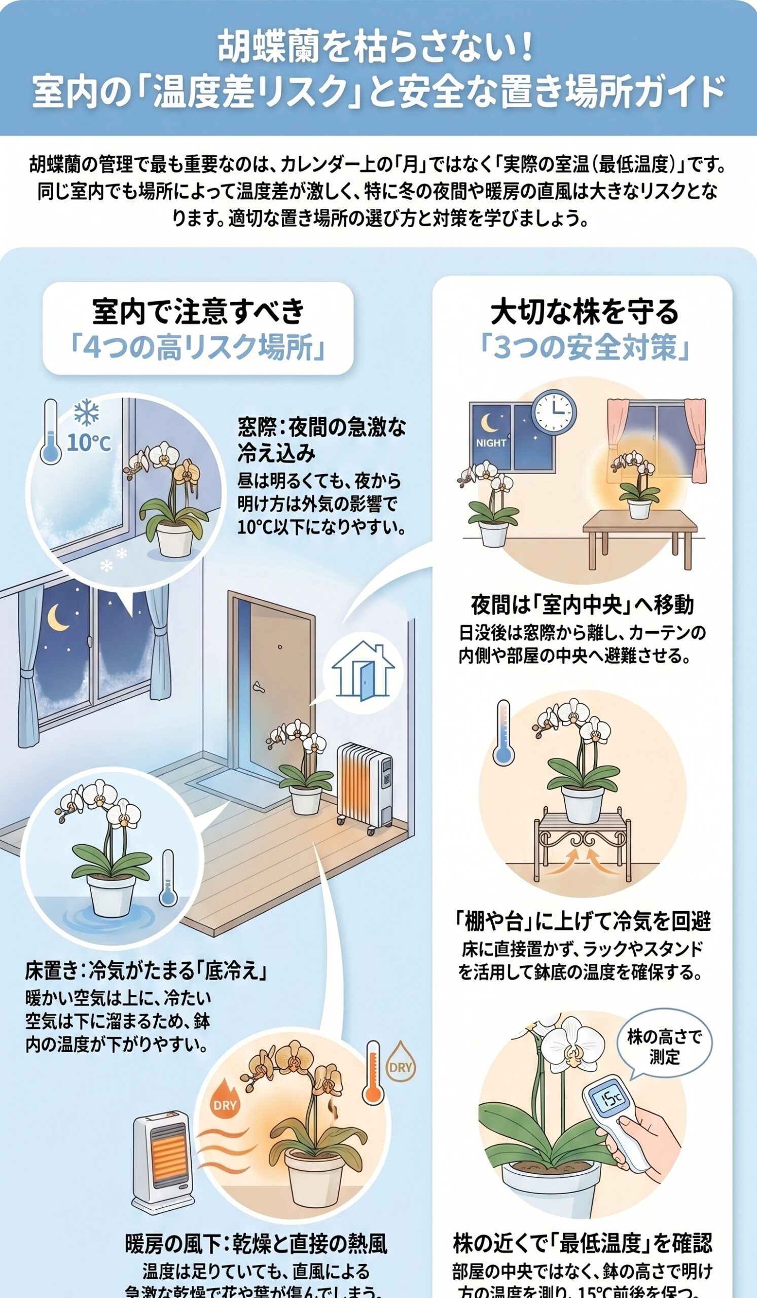 胡蝶蘭の室内の温度差リスクと安全な置き場所をまとめたインフォグラフィック