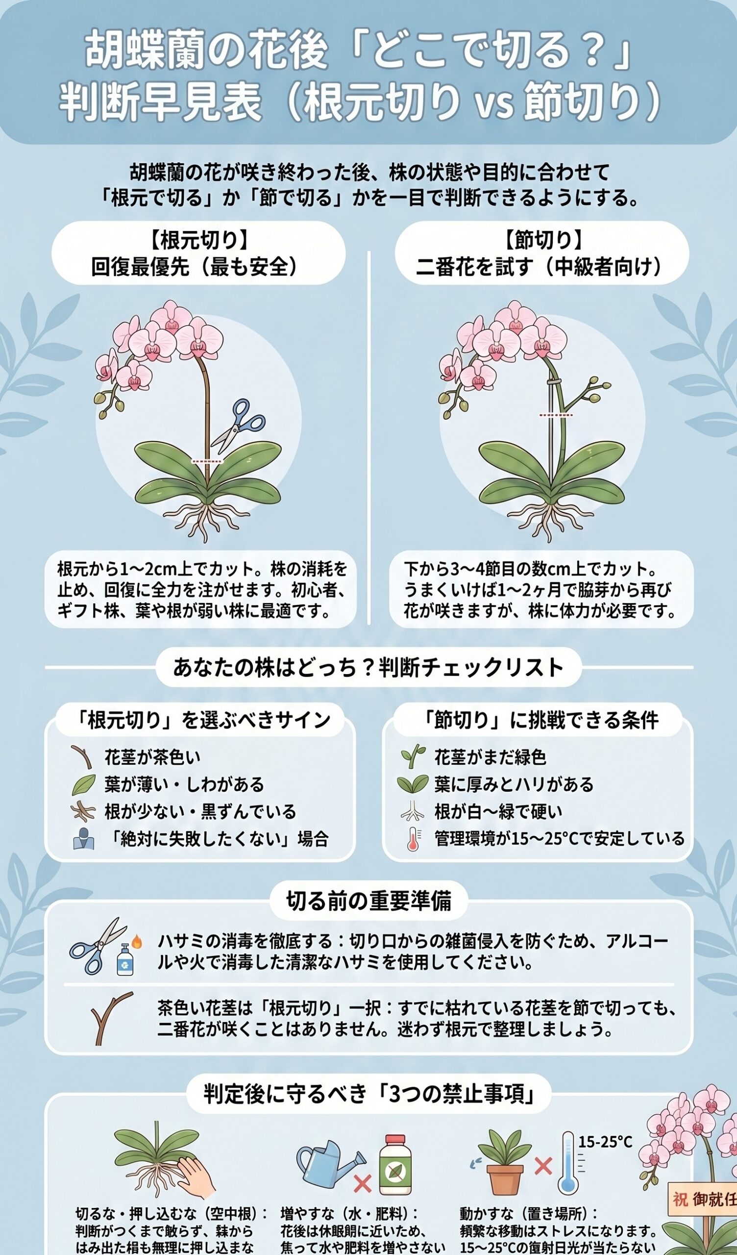 胡蝶蘭の花後に切る位置を根元切りと節切りで判断する早見表インフォグラフィック