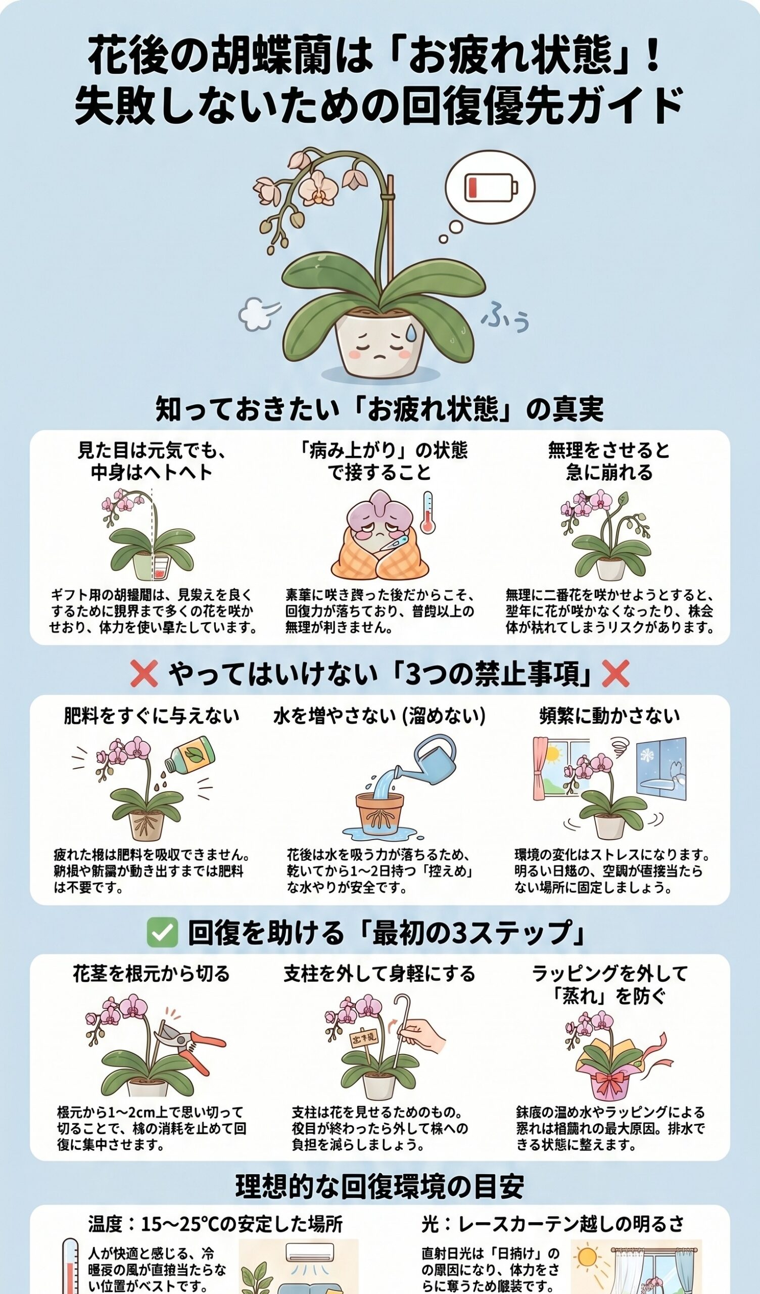 花後の胡蝶蘭がお疲れ状態であることと無理をさせない管理を示すインフォグラフィック