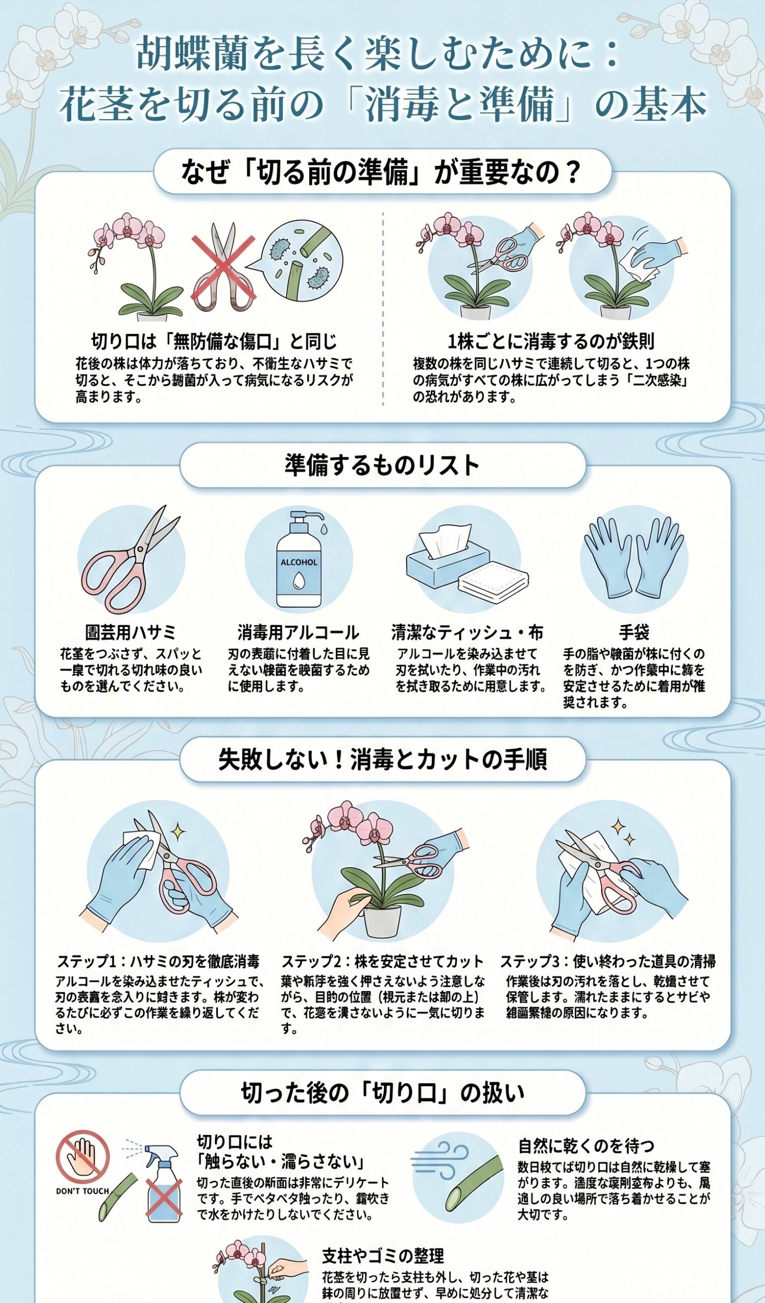 胡蝶蘭の花茎を切る前のハサミ消毒と切り口の扱いを説明するインフォグラフィック