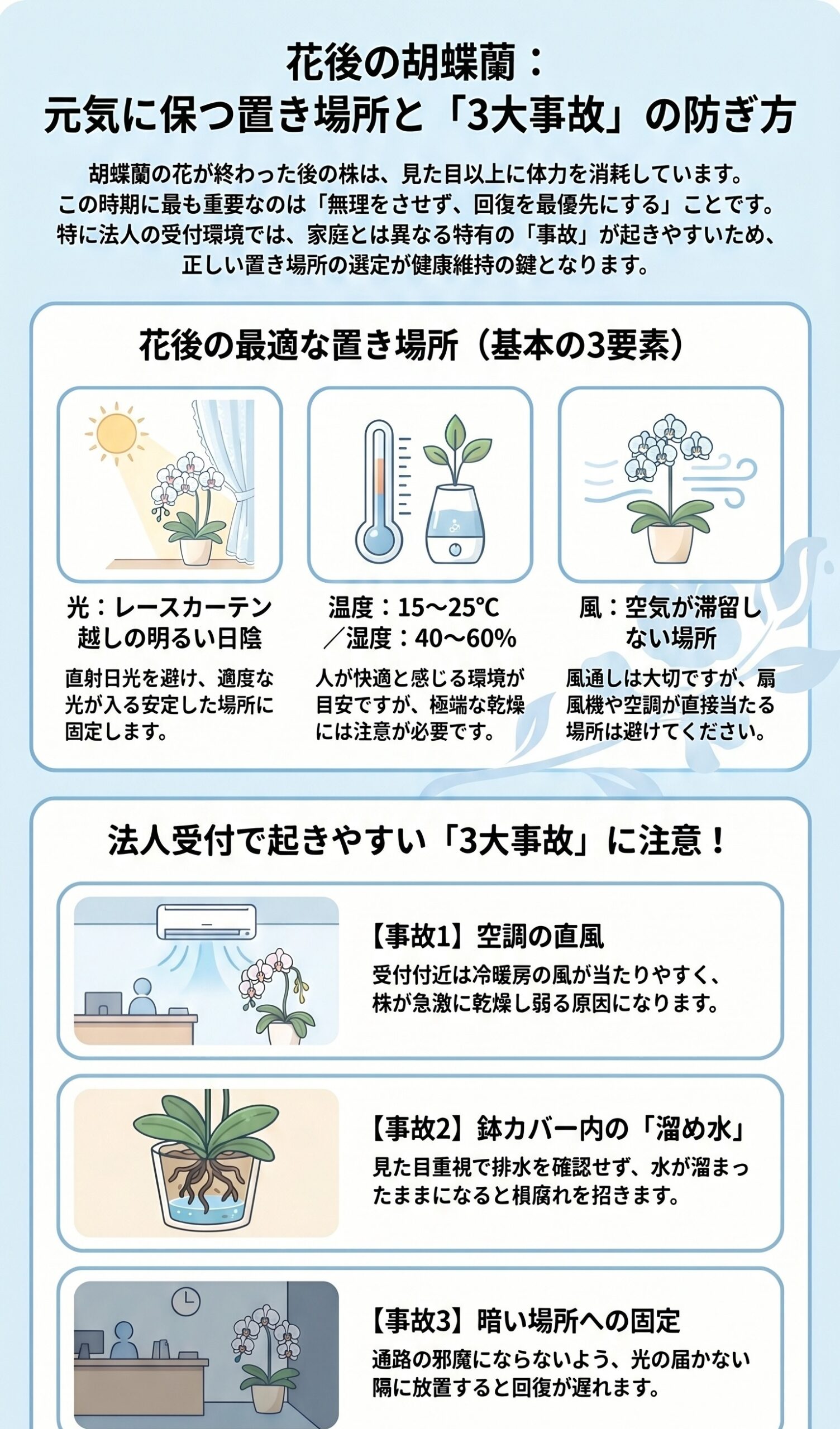胡蝶蘭の花後の置き場所と光温度湿度、法人受付で起きやすい事故をまとめたインフォグラフィック