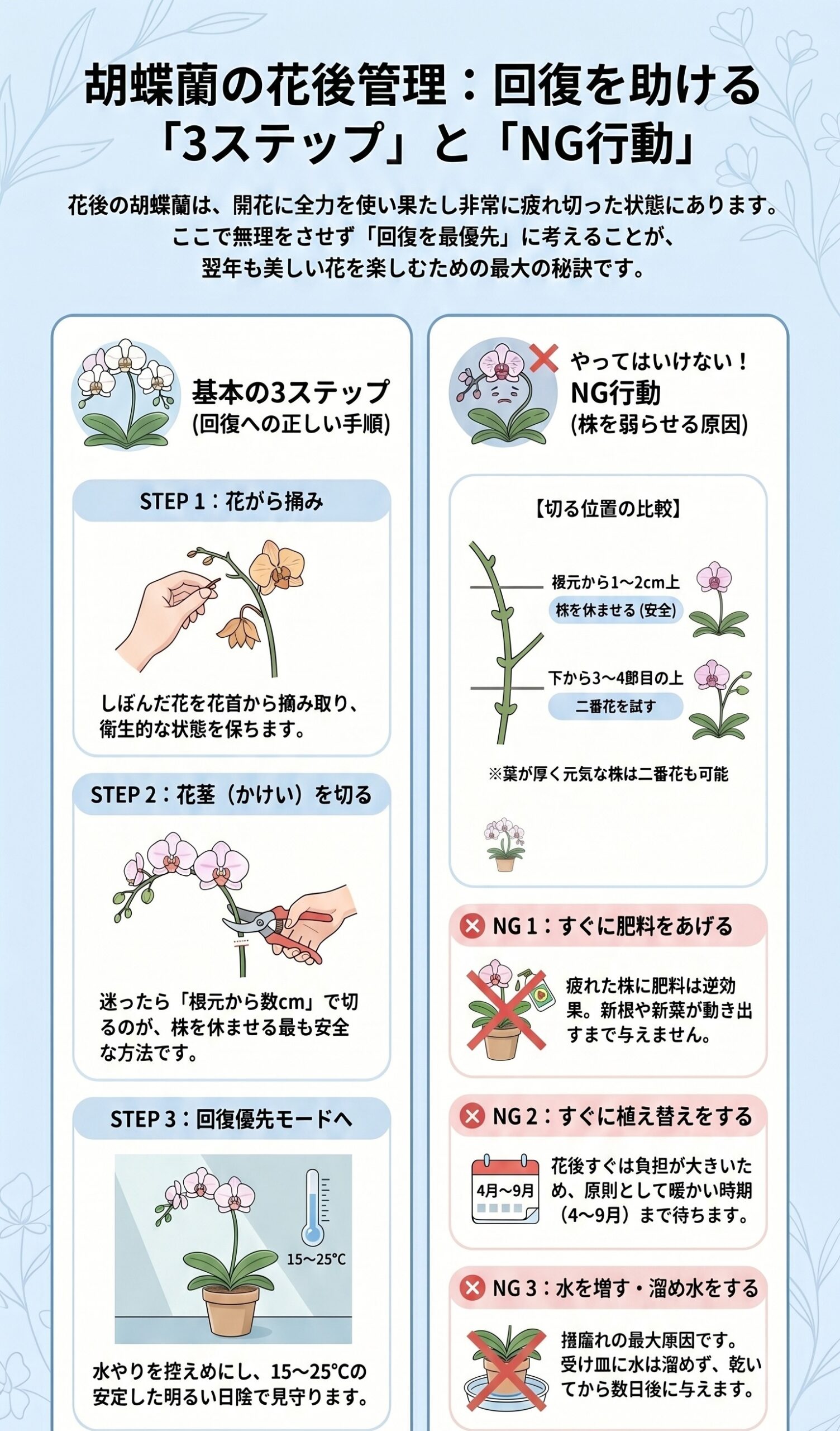胡蝶蘭の花が終わったら最初に行う3ステップとNG行動をまとめたインフォグラフィック