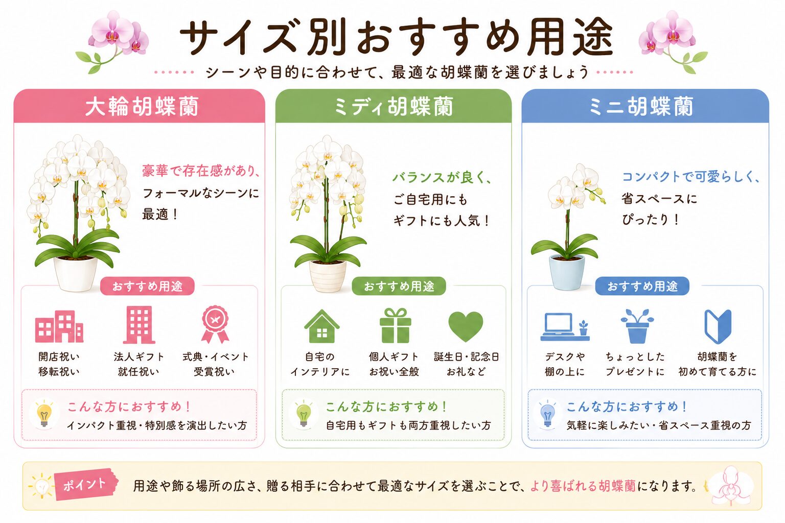 胡蝶蘭のサイズごとの用途比較図