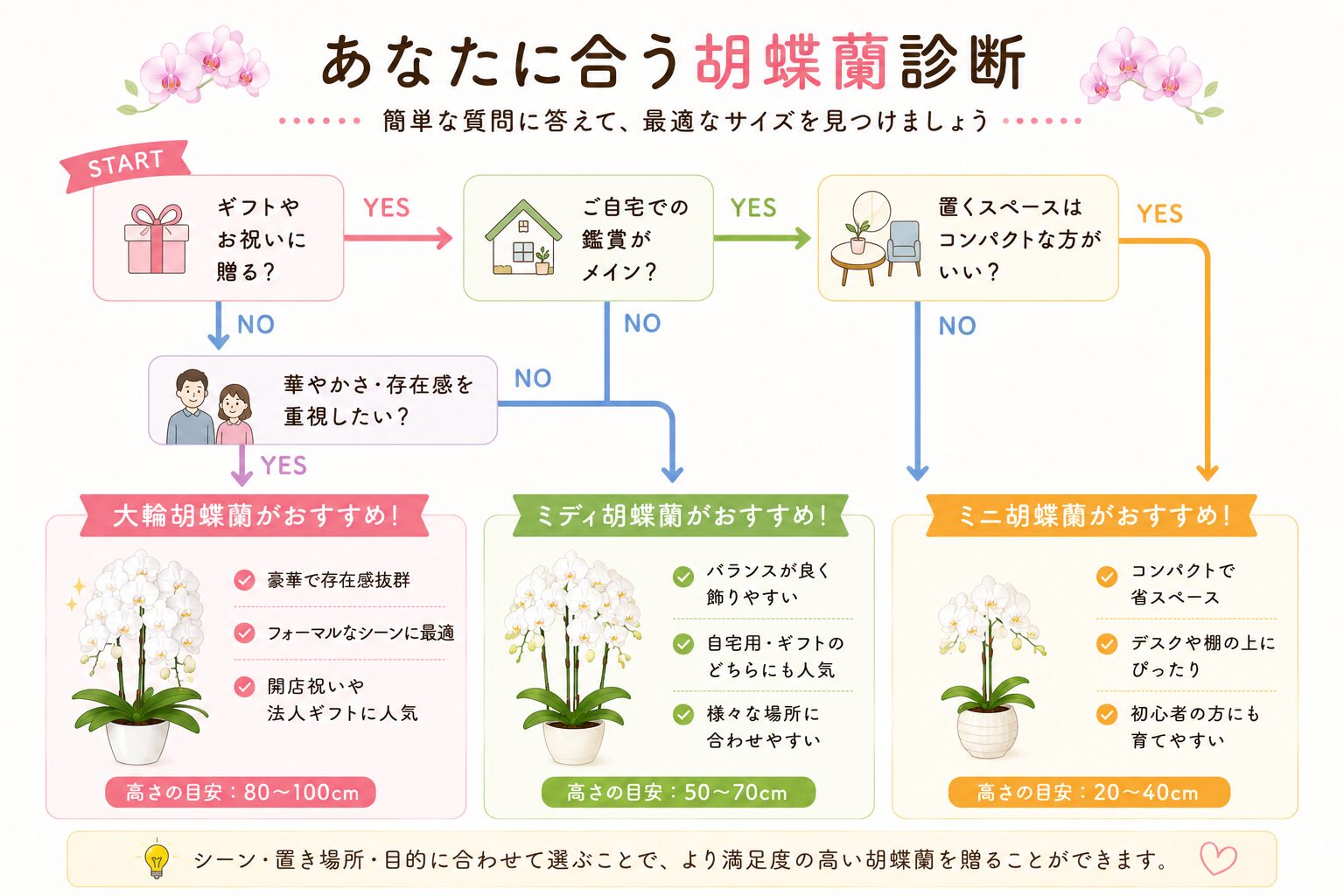 胡蝶蘭サイズ選びフローチャート