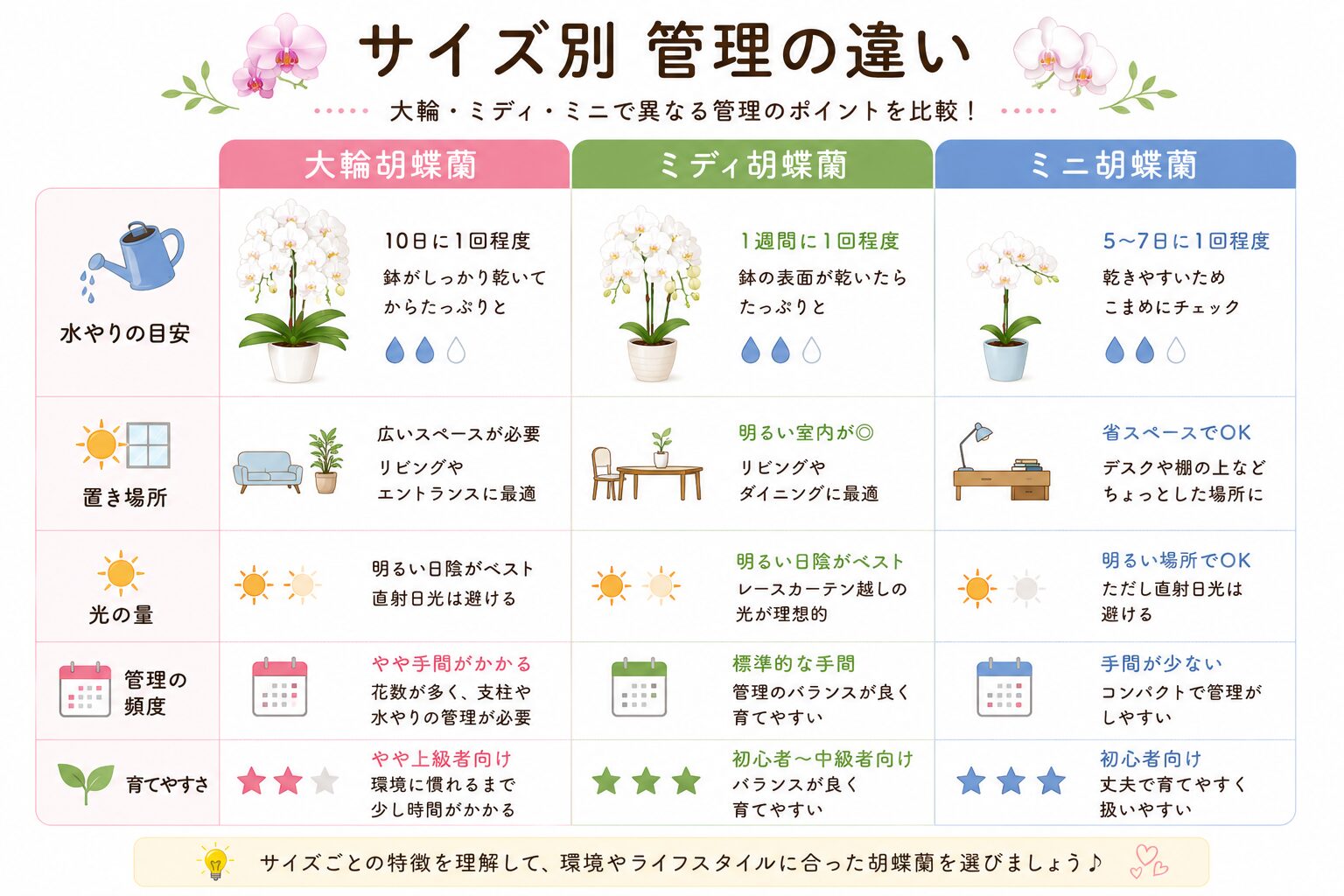 サイズごとの管理ポイント比較図