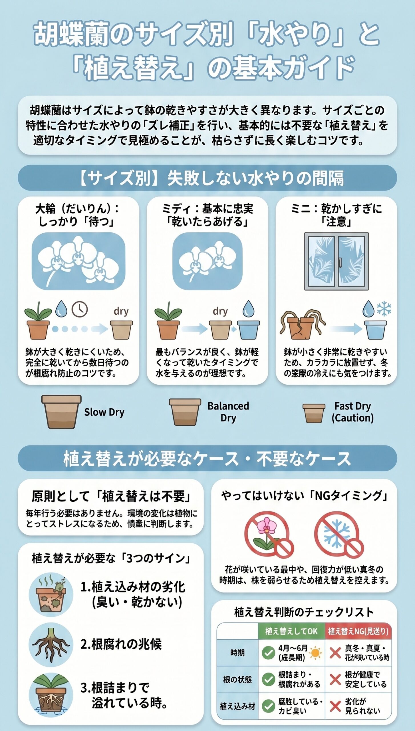 胡蝶蘭のサイズ別に水やり間隔と植え替え判断の違いをまとめたインフォグラフィック