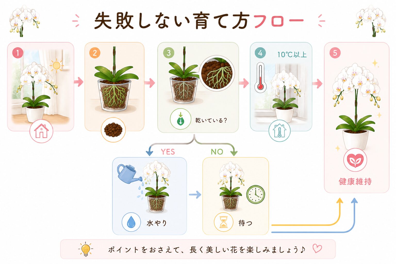胡蝶蘭を枯らさない管理フローチャート