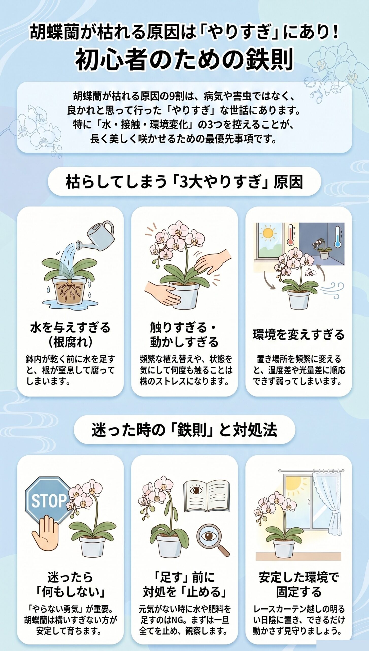迷ったらコレ!胡蝶蘭が枯れる「3大原因」と最短結論|胡蝶蘭が枯れる原因と対処法を視覚的に整理したインフォグラフィック