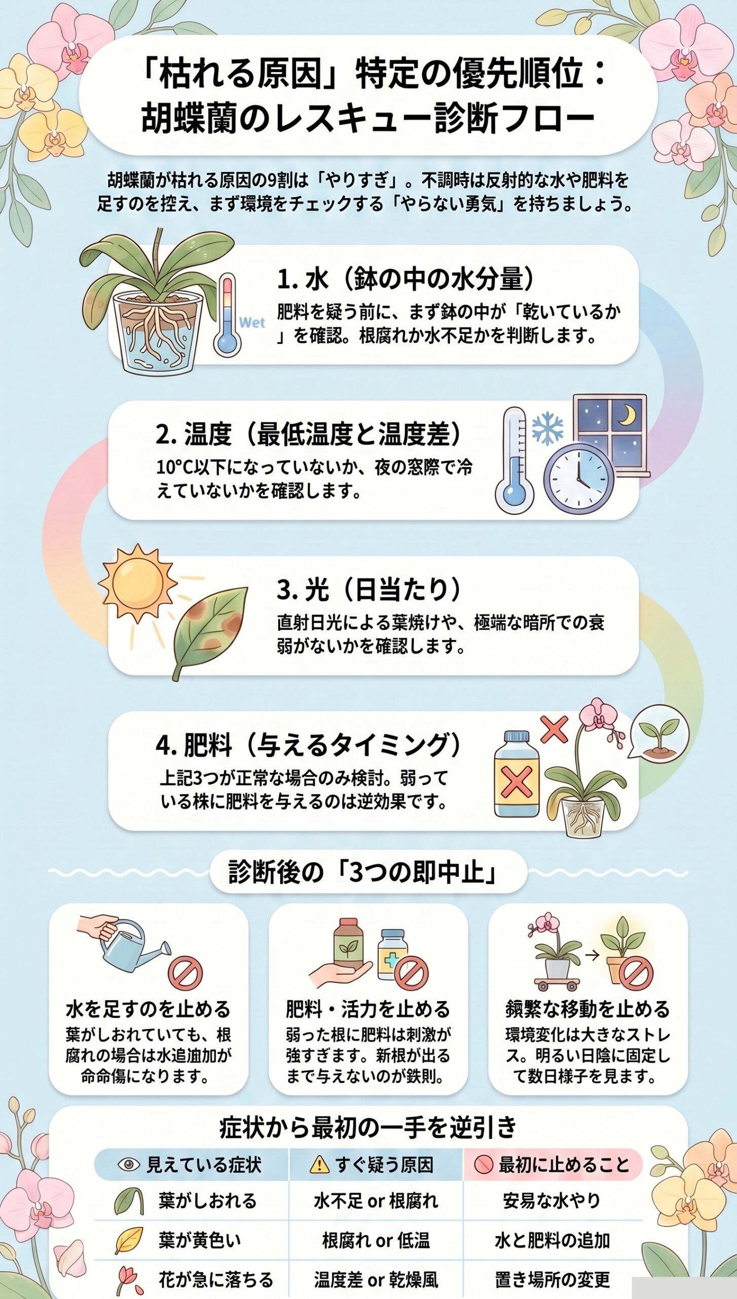 絶対ルール!枯れそうな時の「原因特定・優先順位4ステップ」|胡蝶蘭が枯れる原因と対処法を視覚的に整理したインフォグラフィック