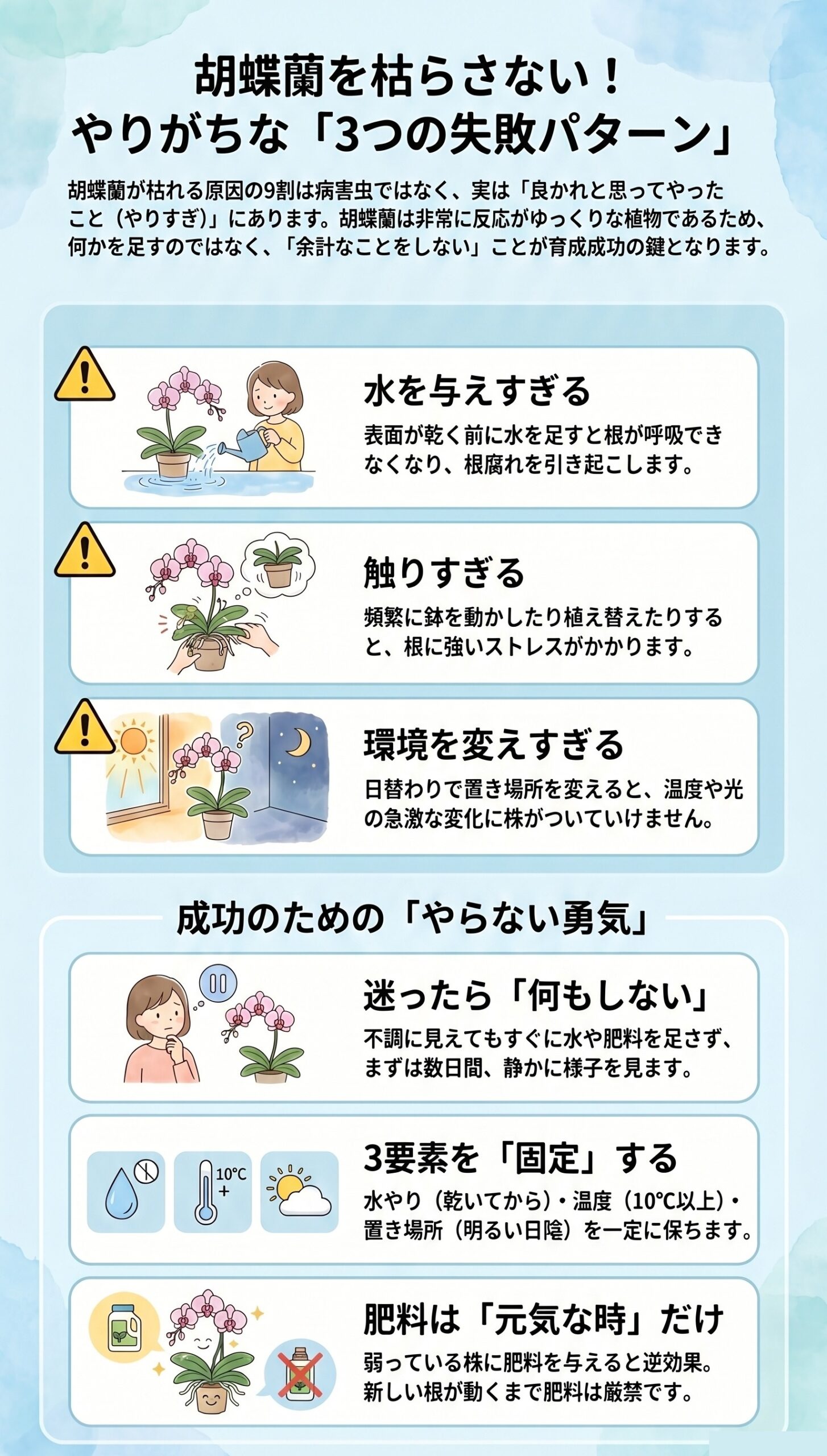 初心者の罠!やってしまいがちな「3つの失敗パターン」|胡蝶蘭が枯れる原因と対処法を視覚的に整理したインフォグラフィック