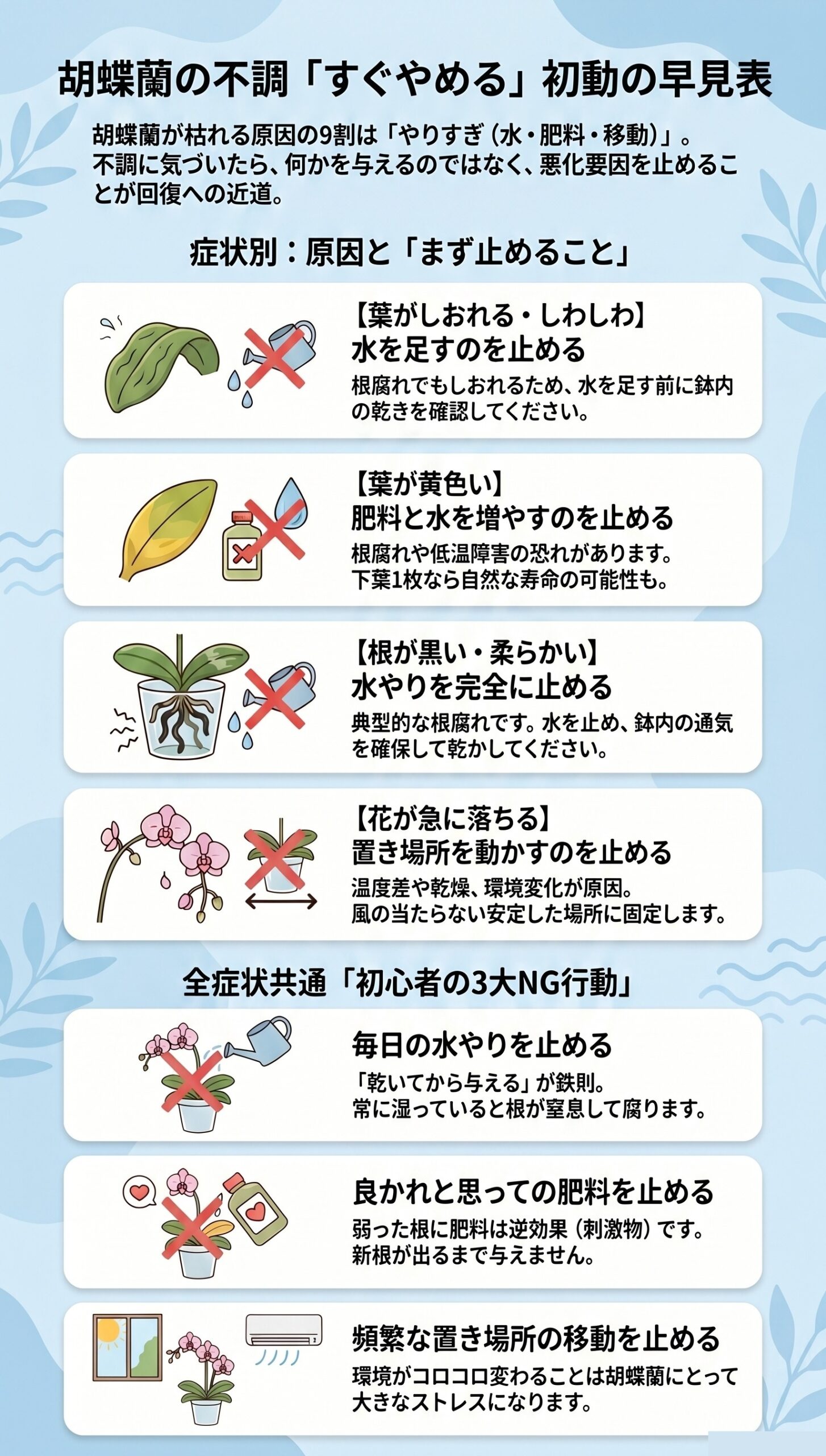 症状別チェック!「枯れる前のサイン」と最初の対応早見表|胡蝶蘭が枯れる原因と対処法を視覚的に整理したインフォグラフィック
