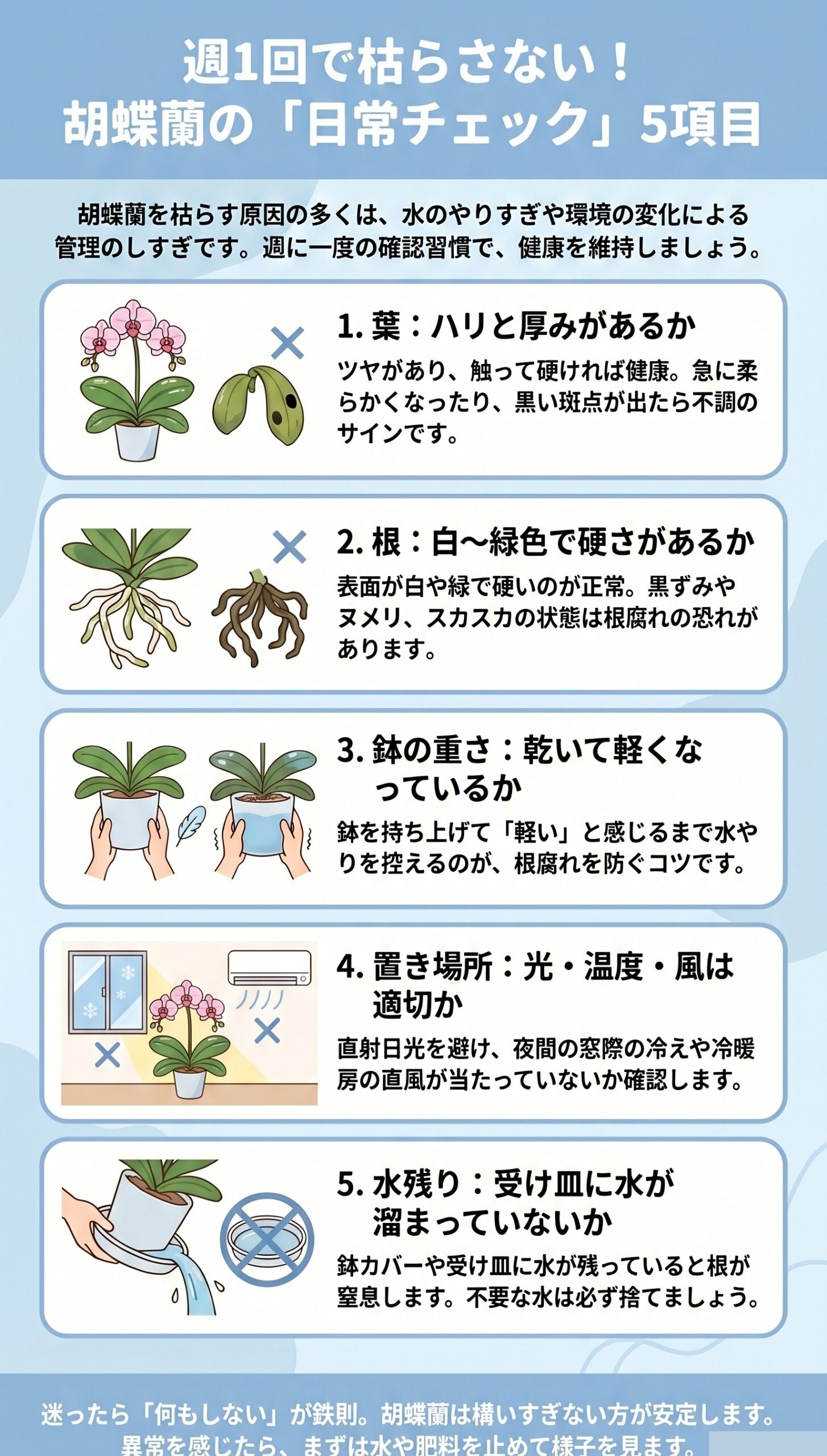 これで安心!枯らさないための「週1回・5つの日常チェック」|胡蝶蘭が枯れる原因と対処法を視覚的に整理したインフォグラフィック