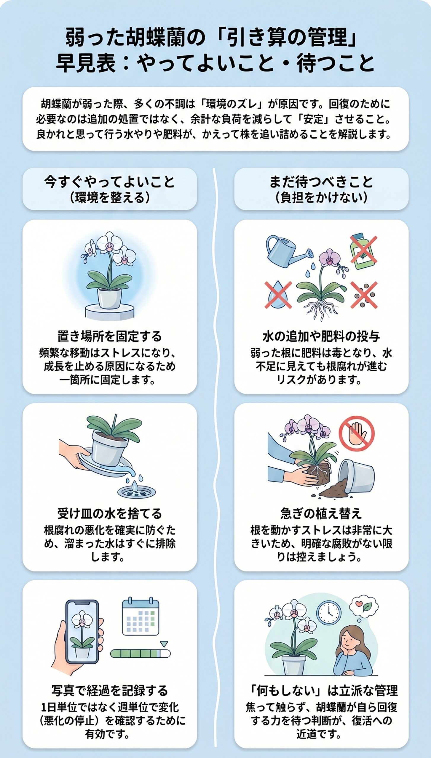 迷ったらコレ!弱った時の「何もしない」鉄則と結論|弱った胡蝶蘭の原因判断と回復管理を視覚的に整理したインフォグラフィック