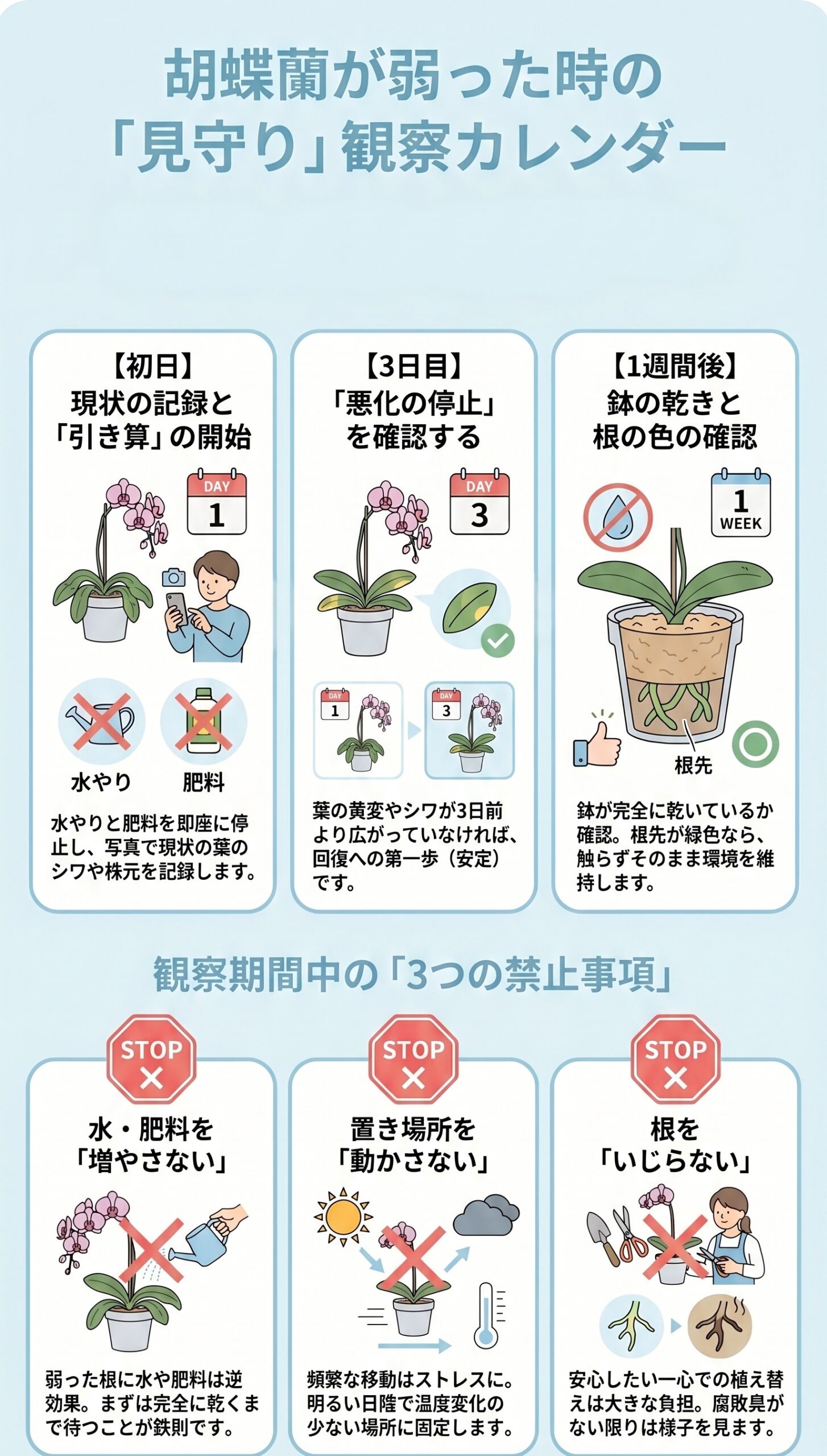 30秒で判別!弱った株の「水不足・根腐れ・低温」見極め表|弱った胡蝶蘭の原因判断と回復管理を視覚的に整理したインフォグラフィック