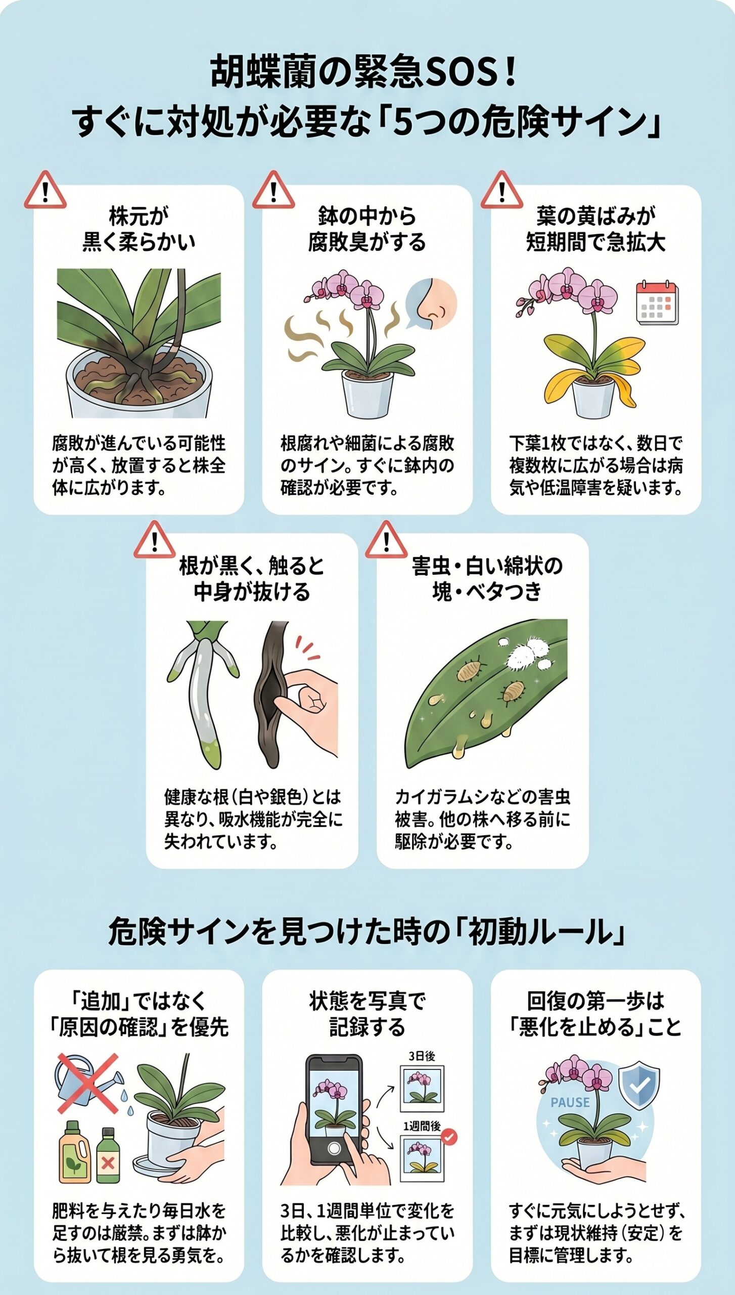 症状より環境!最初に確認すべき3つのポイント|弱った胡蝶蘭の原因判断と回復管理を視覚的に整理したインフォグラフィック