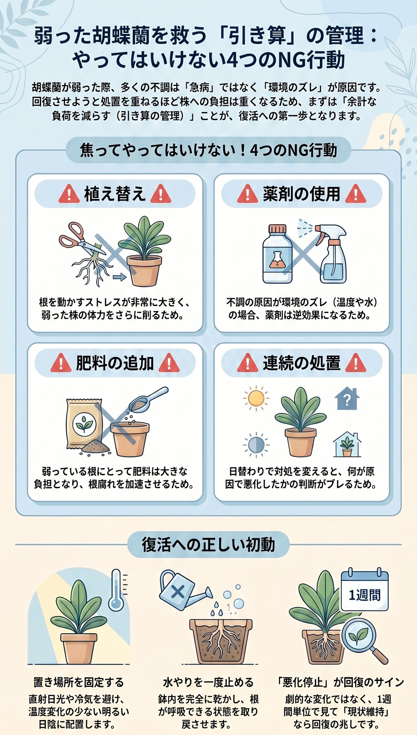 見逃さないで!胡蝶蘭の小さな「復活・回復サイン」|弱った胡蝶蘭の原因判断と回復管理を視覚的に整理したインフォグラフィック