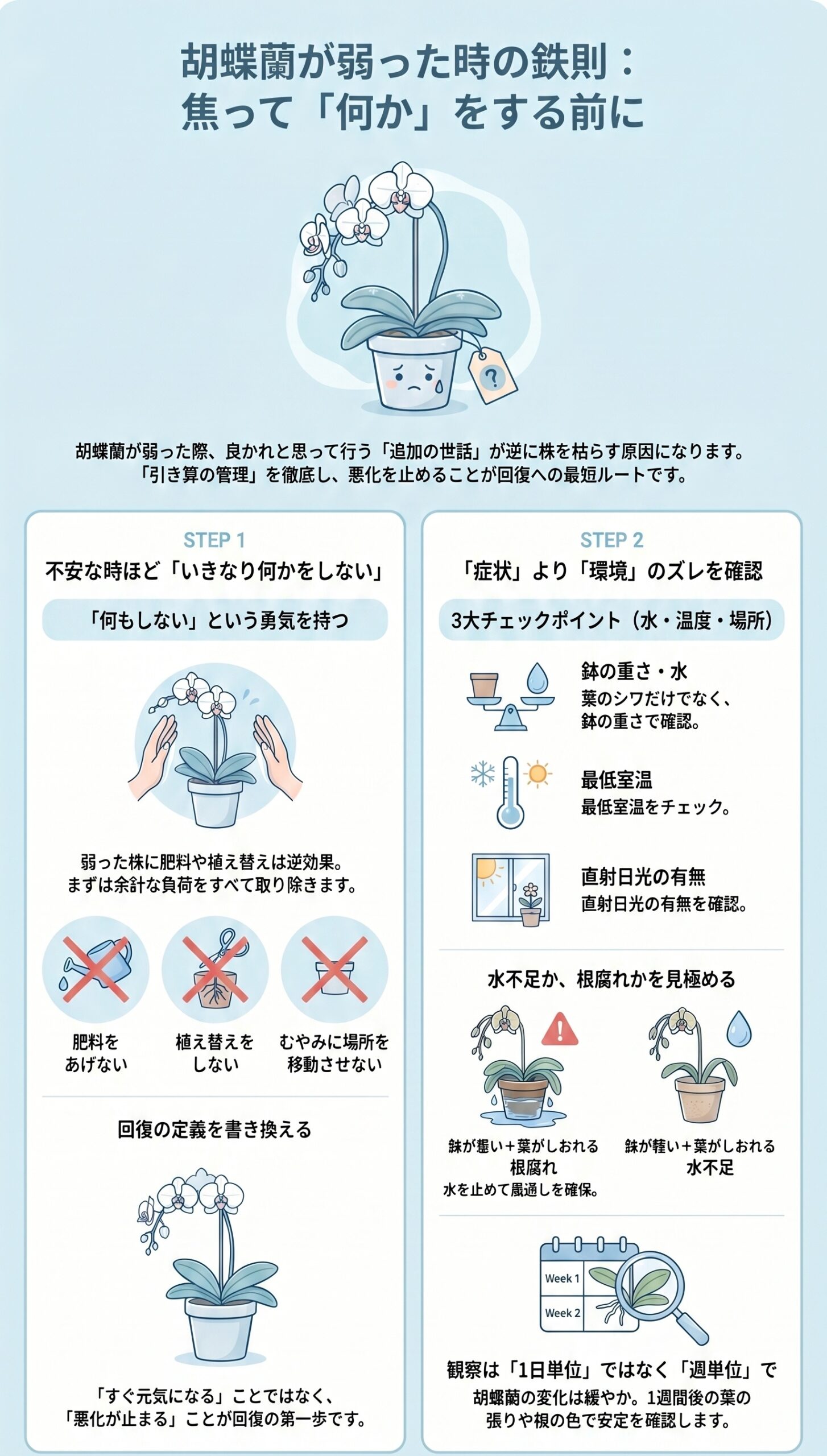 引き算の管理!やってよいこと・待つこと早見表|弱った胡蝶蘭の原因判断と回復管理を視覚的に整理したインフォグラフィック