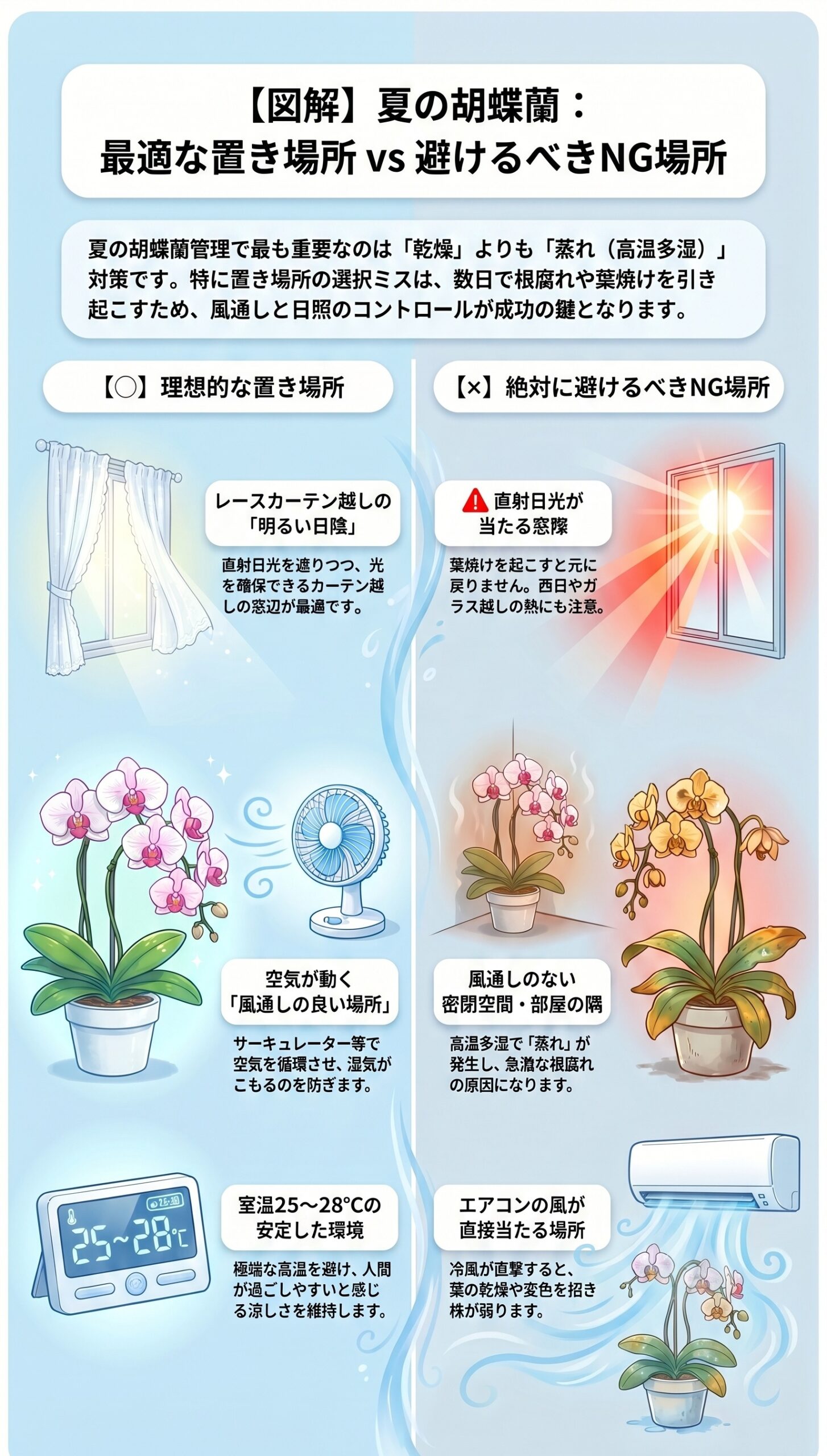 環境で変わる!置き場所別「水やりの目安」早見表|夏の胡蝶蘭の水やりと根腐れ対策を視覚的に整理したインフォグラフィック
