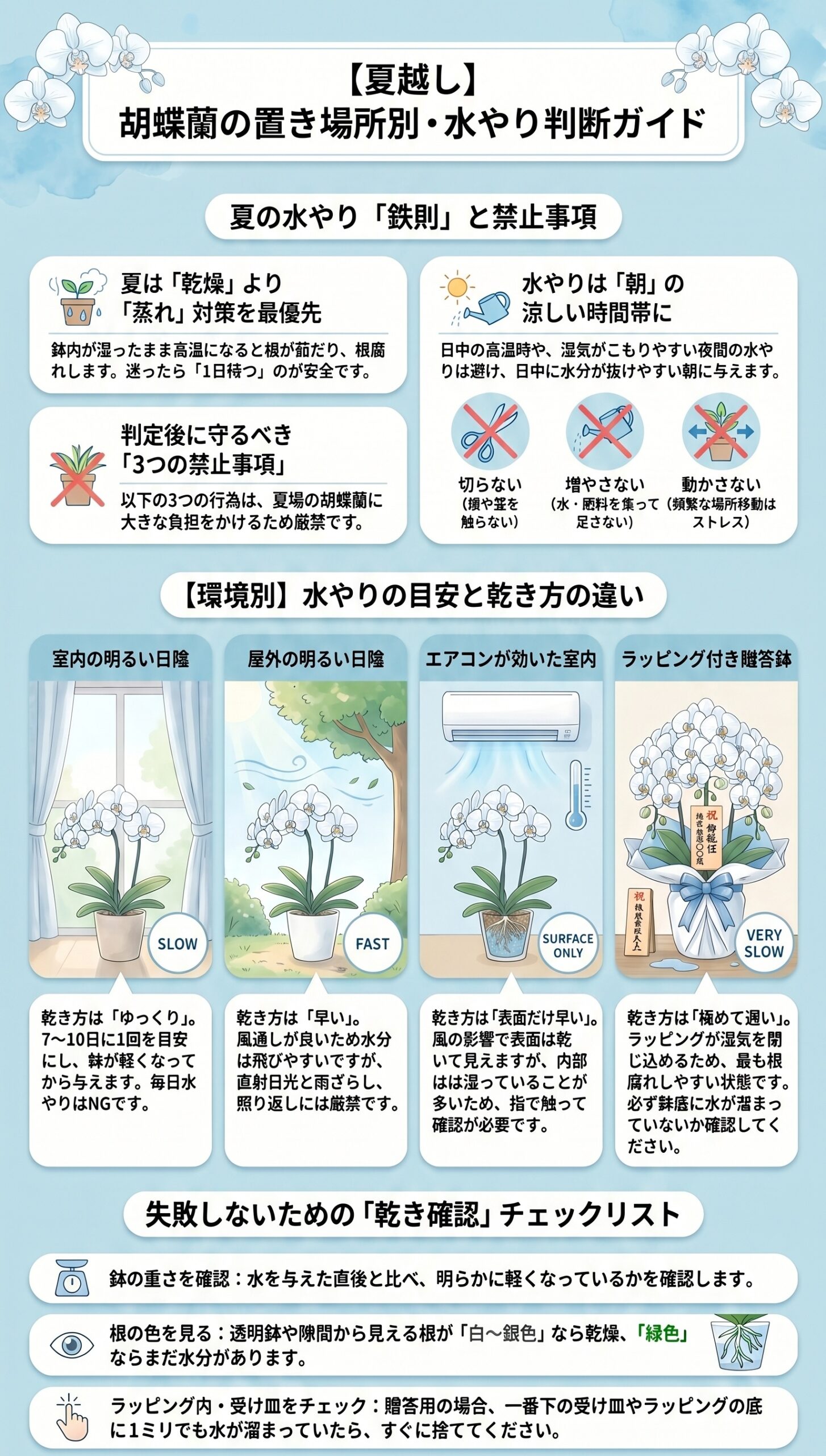 時間帯が命!夏の水やりは「朝」が安全な理由と夜のNG|夏の胡蝶蘭の水やりと根腐れ対策を視覚的に整理したインフォグラフィック
