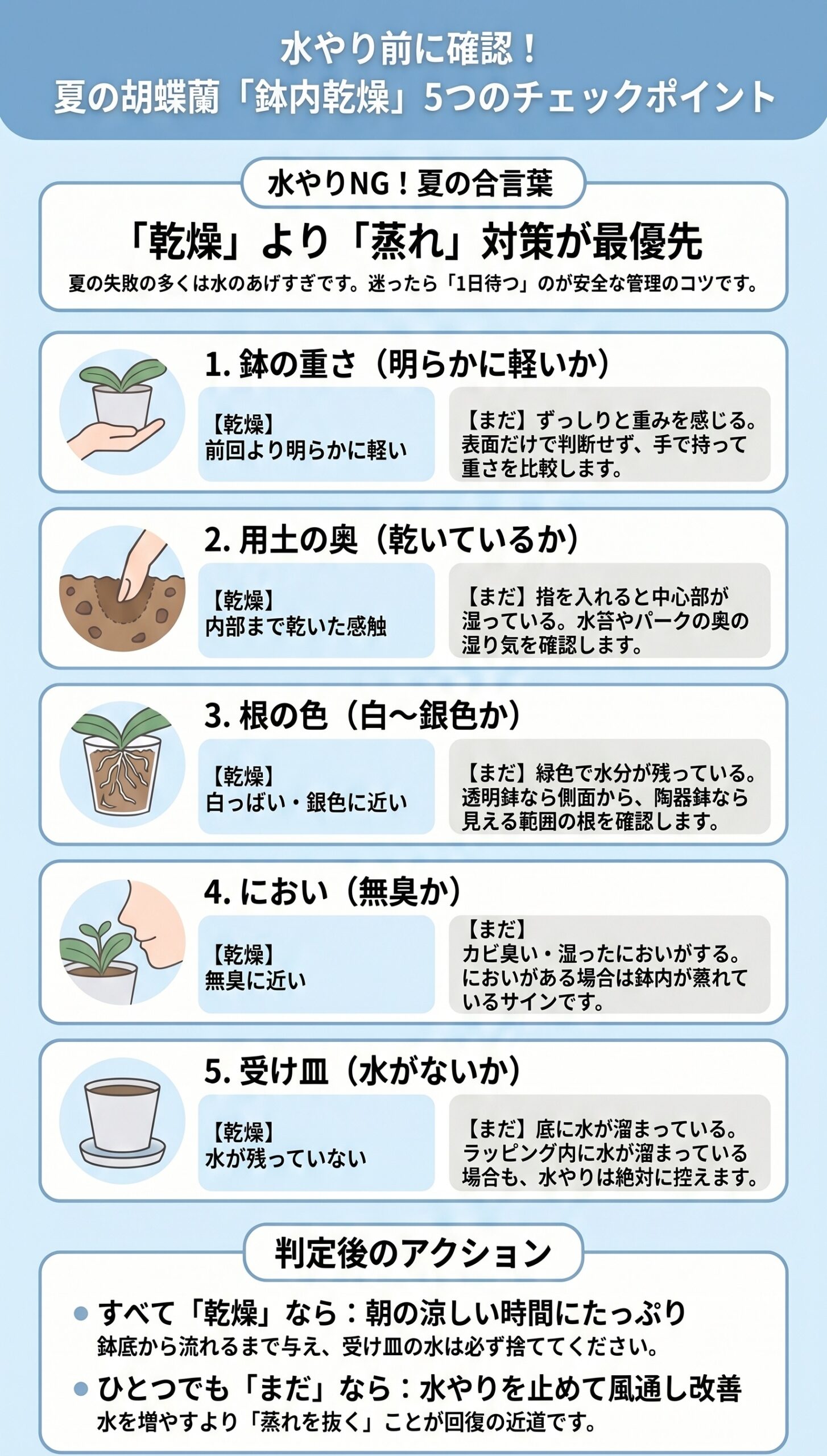 手遅れになる前に!「水不足」と「根腐れ」の見分け方|夏の胡蝶蘭の水やりと根腐れ対策を視覚的に整理したインフォグラフィック