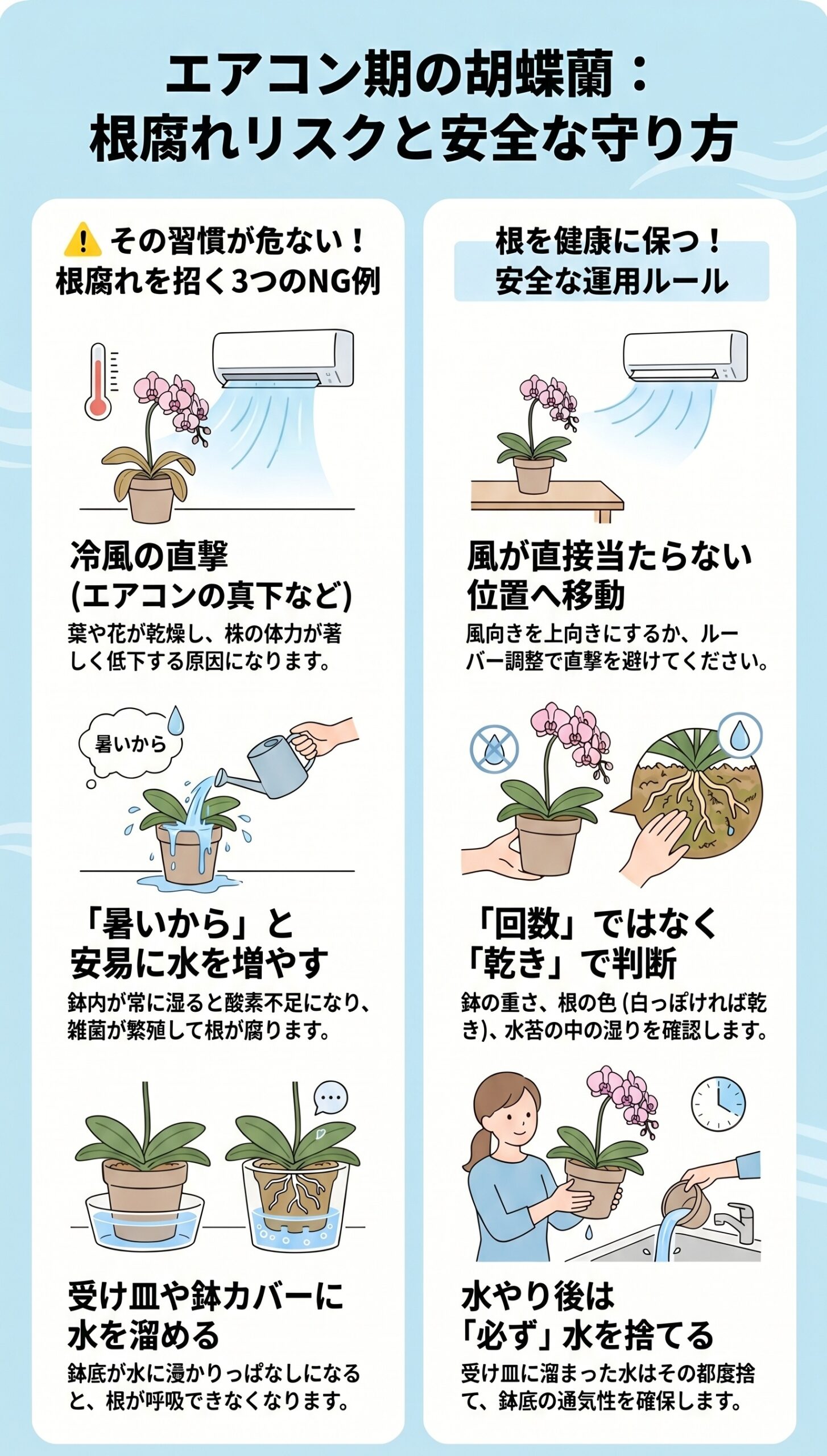 迷ったらコレ！3分で終わる「根腐れセルフ診断」と最短結論｜胡蝶蘭の根腐れ診断と再発防止を視覚的に整理したインフォグラフィック
