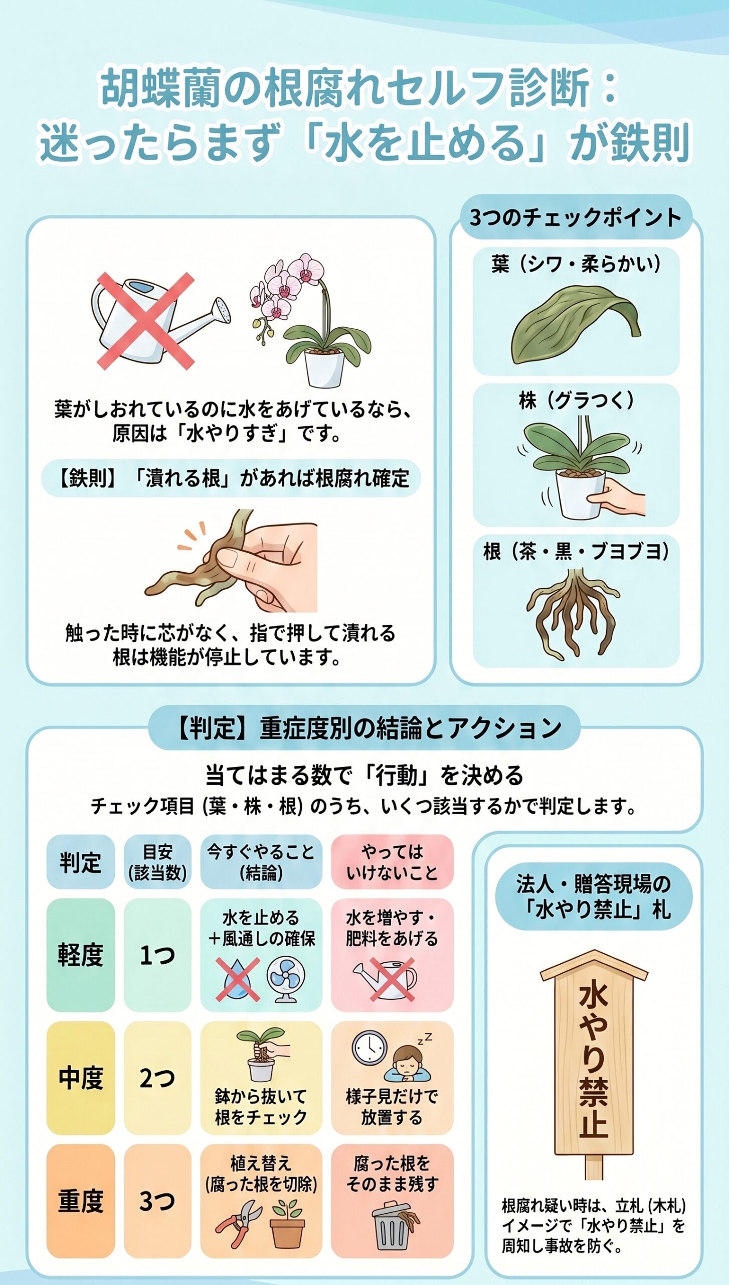 NG例に注意！エアコンが引き起こす「夏・冬」の根腐れリスク｜胡蝶蘭の根腐れ診断と再発防止を視覚的に整理したインフォグラフィック