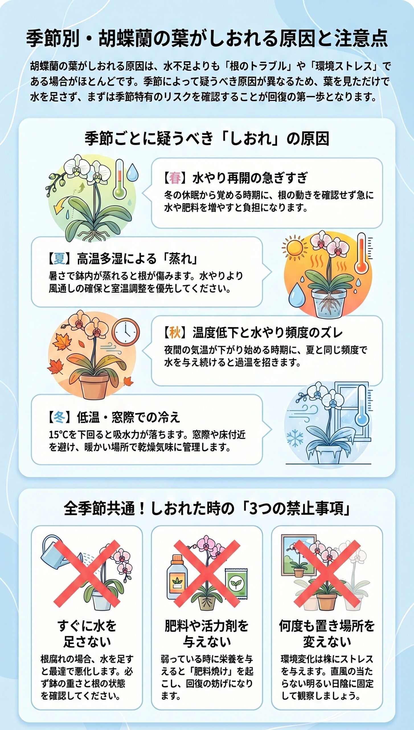 迷ったらコレ!葉がしおれた時の「絶対ルール」と結論|胡蝶蘭の葉がしおれた時の原因判断と初動対応を視覚的に整理したインフォグラフィック