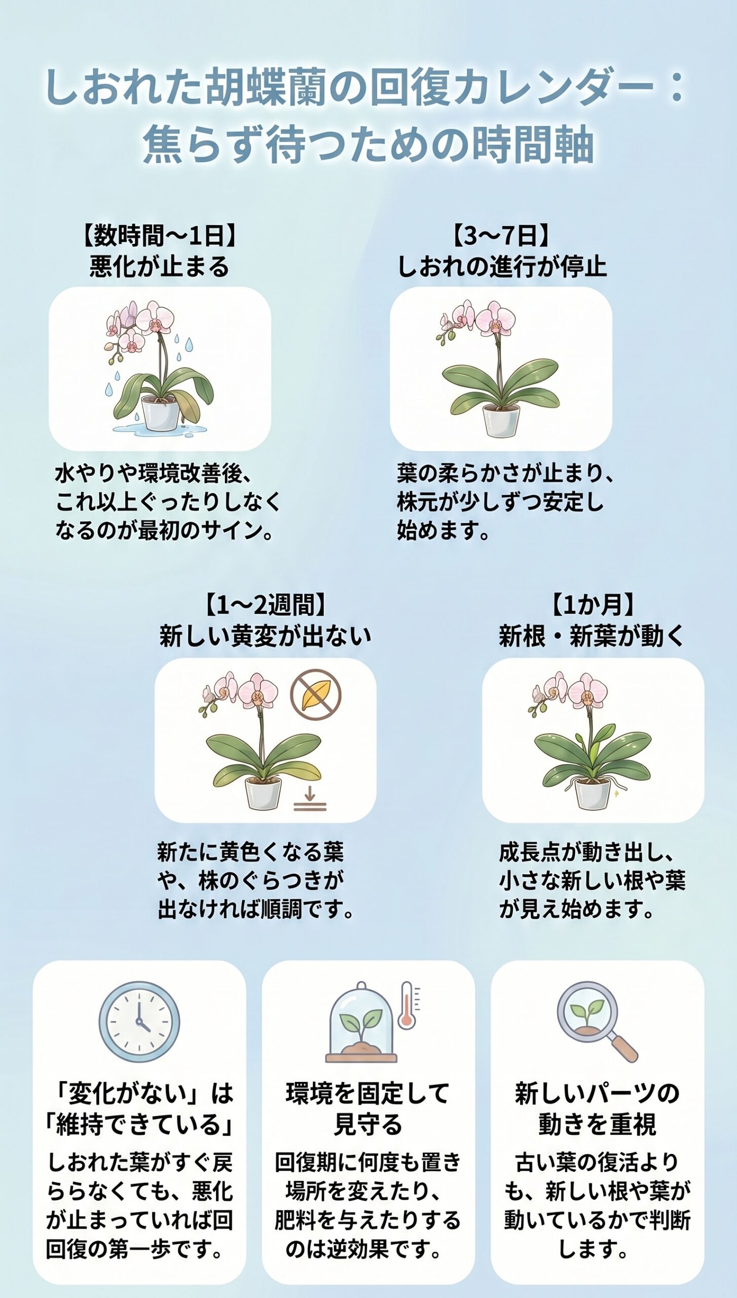 30秒診断!しおれの原因「水不足・根腐れ・温度」見極め早見表|胡蝶蘭の葉がしおれた時の原因判断と初動対応を視覚的に整理したインフォグラフィック
