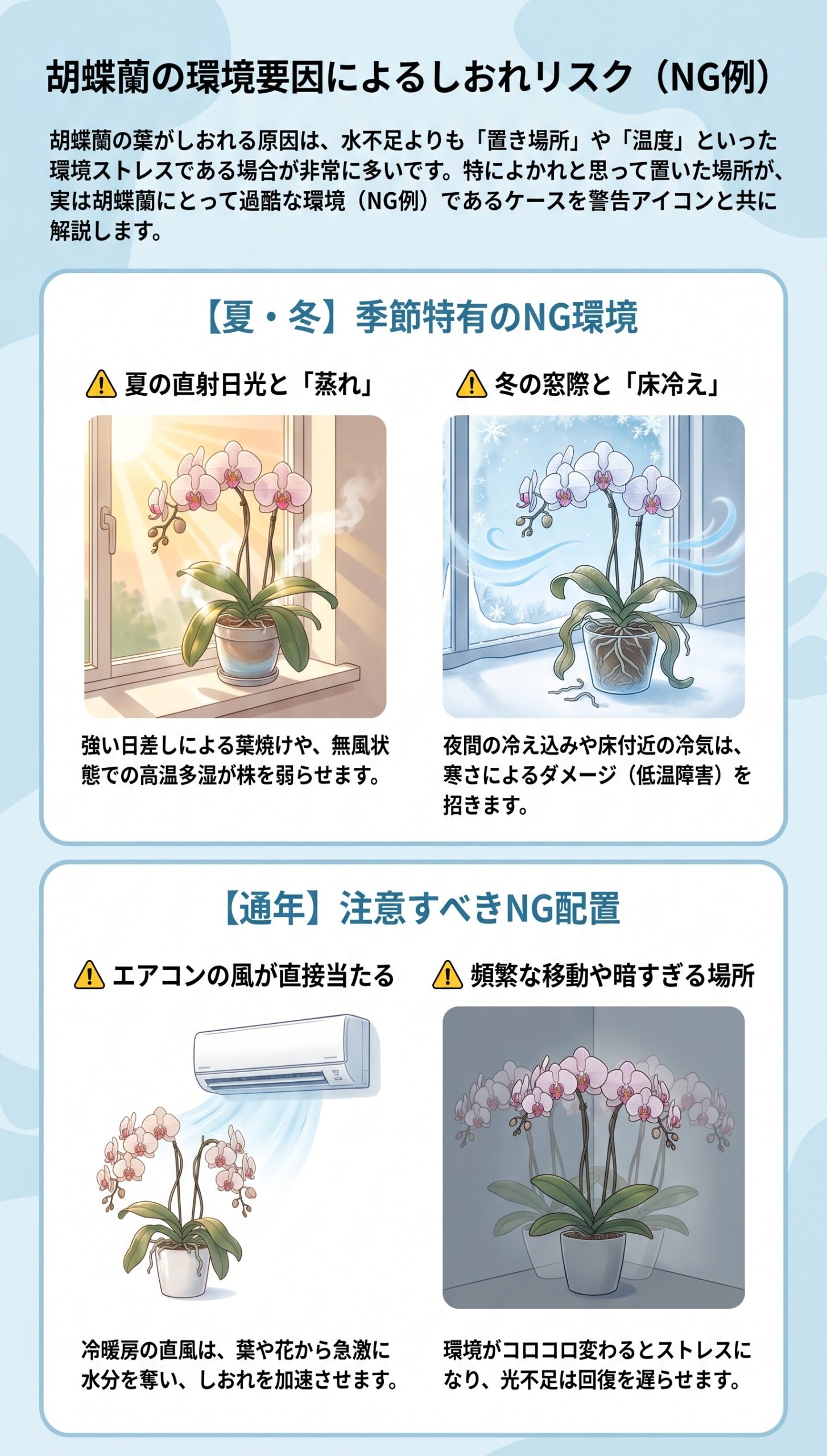 最初の24時間が勝負!しおれた時に「やること・やらないこと」|胡蝶蘭の葉がしおれた時の原因判断と初動対応を視覚的に整理したインフォグラフィック