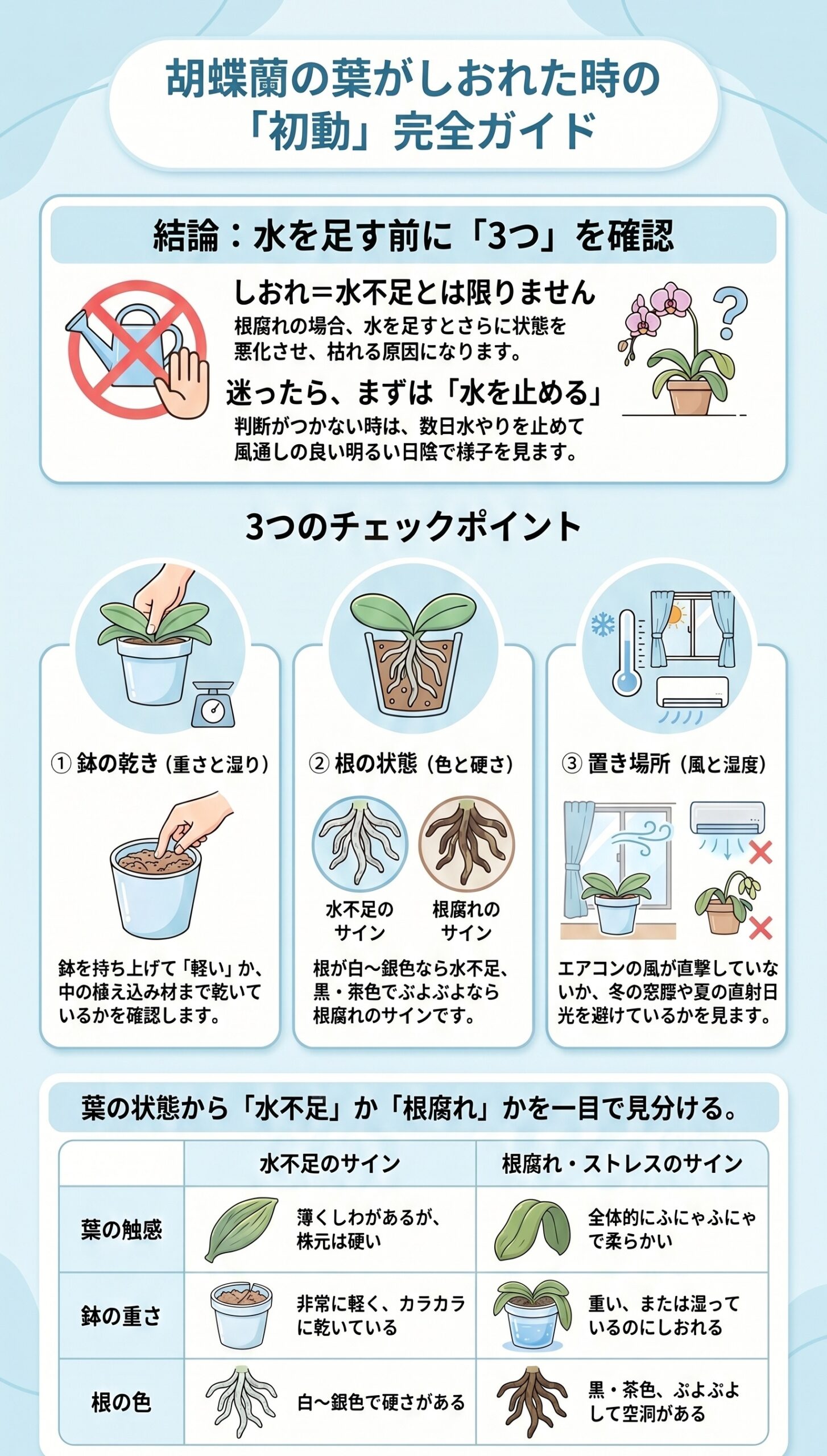 NG例に注意!夏の蒸れと冬の冷え・直射・空調風リスク|胡蝶蘭の葉がしおれた時の原因判断と初動対応を視覚的に整理したインフォグラフィック