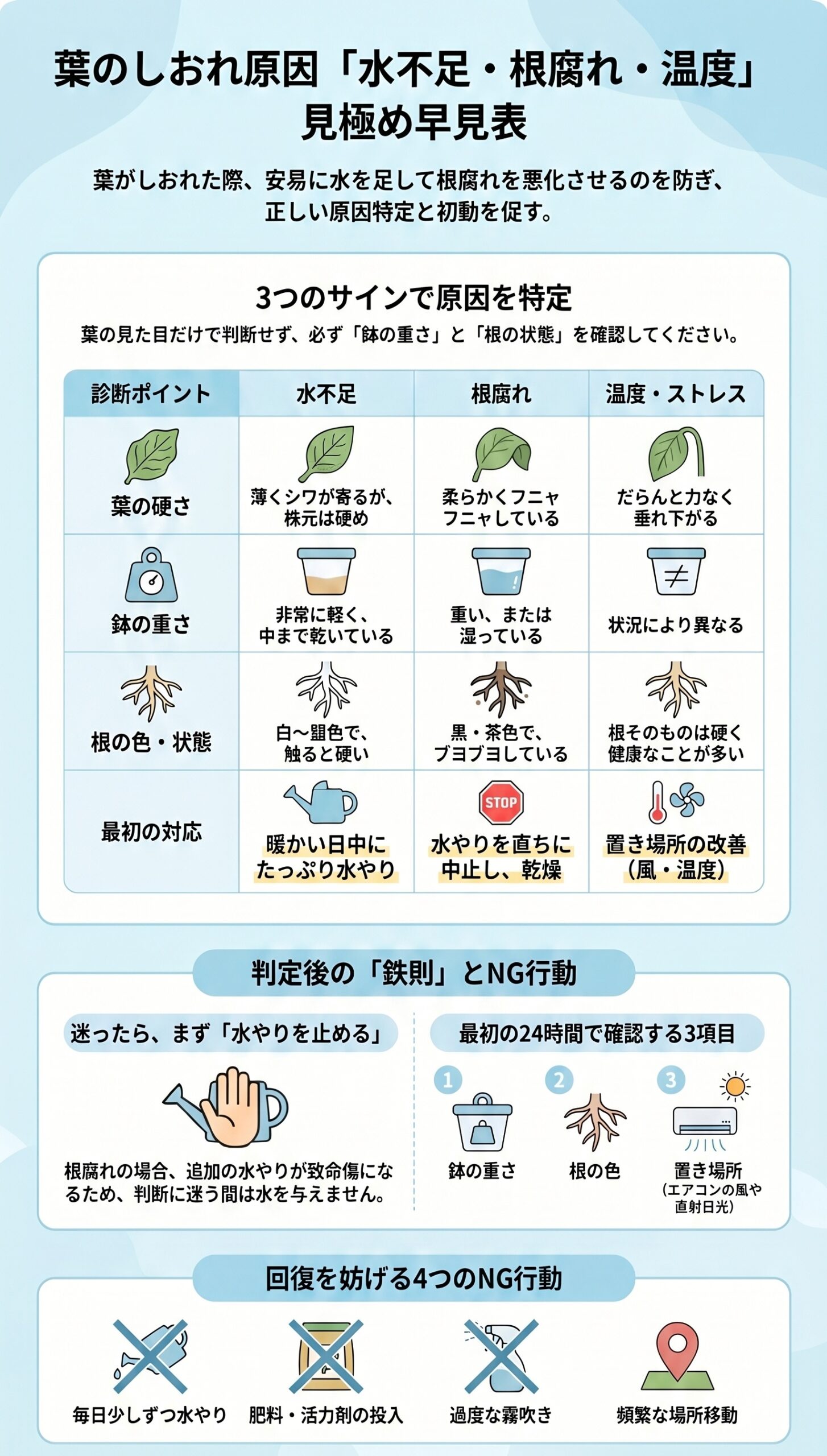春夏秋冬で違う!季節別の「葉がしおれる」原因と注意点|胡蝶蘭の葉がしおれた時の原因判断と初動対応を視覚的に整理したインフォグラフィック