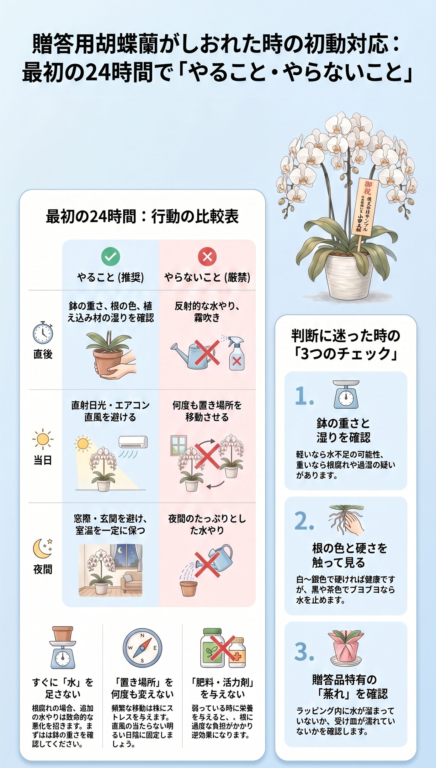 焦らず待つ!しおれた葉の「回復カレンダー」と見るべきポイント|胡蝶蘭の葉がしおれた時の原因判断と初動対応を視覚的に整理したインフォグラフィック